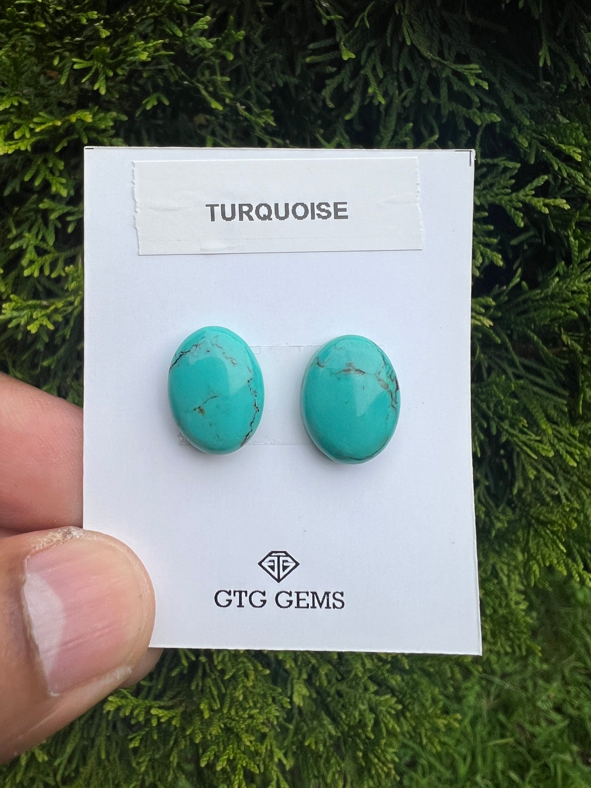 Natural Turquoise cabs 16x12mm approximately 13.80 carat (GTG-MT-12)