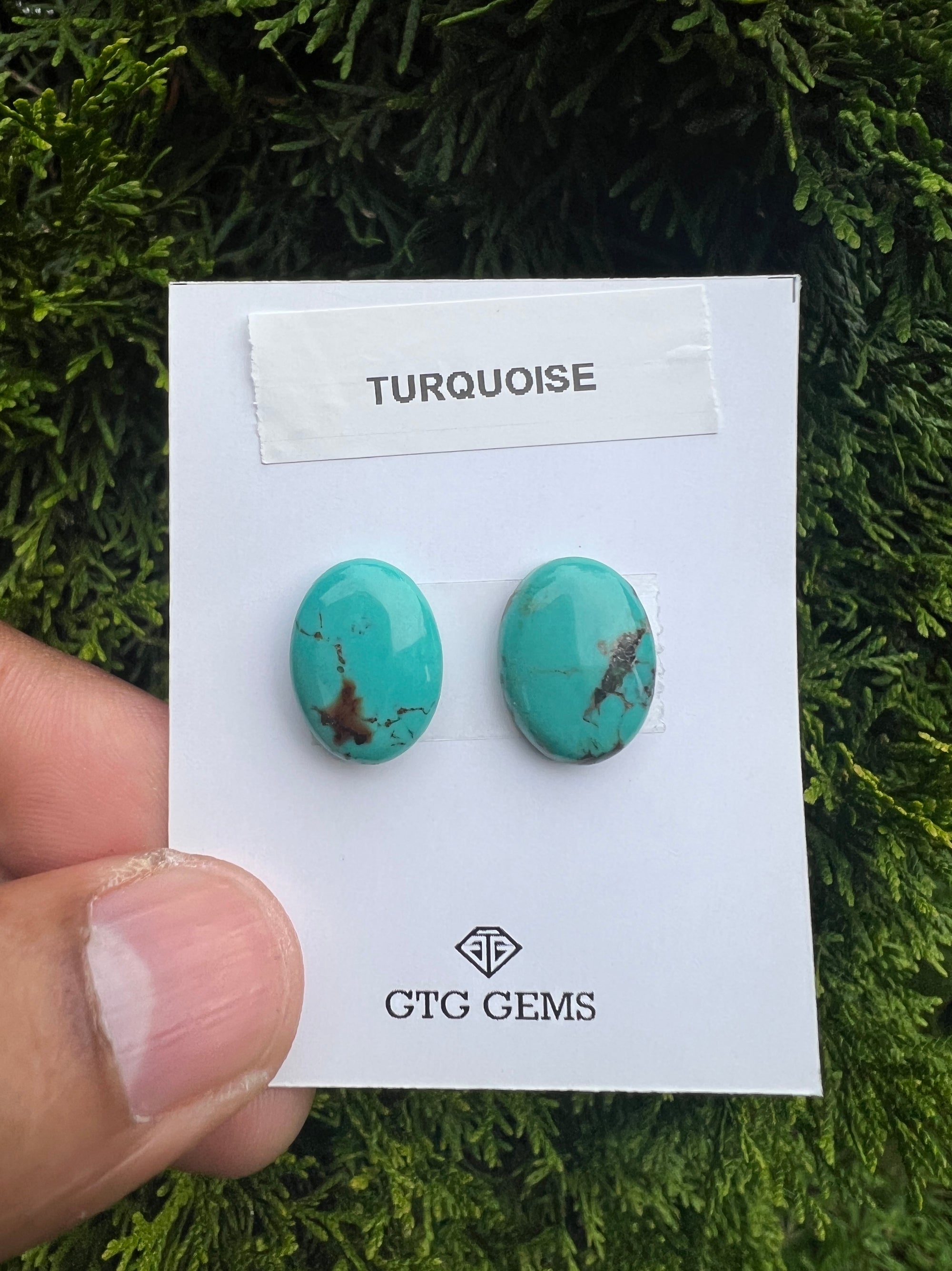 Natural Turquoise cabs 16x12mm approximately 13.80 carat (GTG-MT-9)