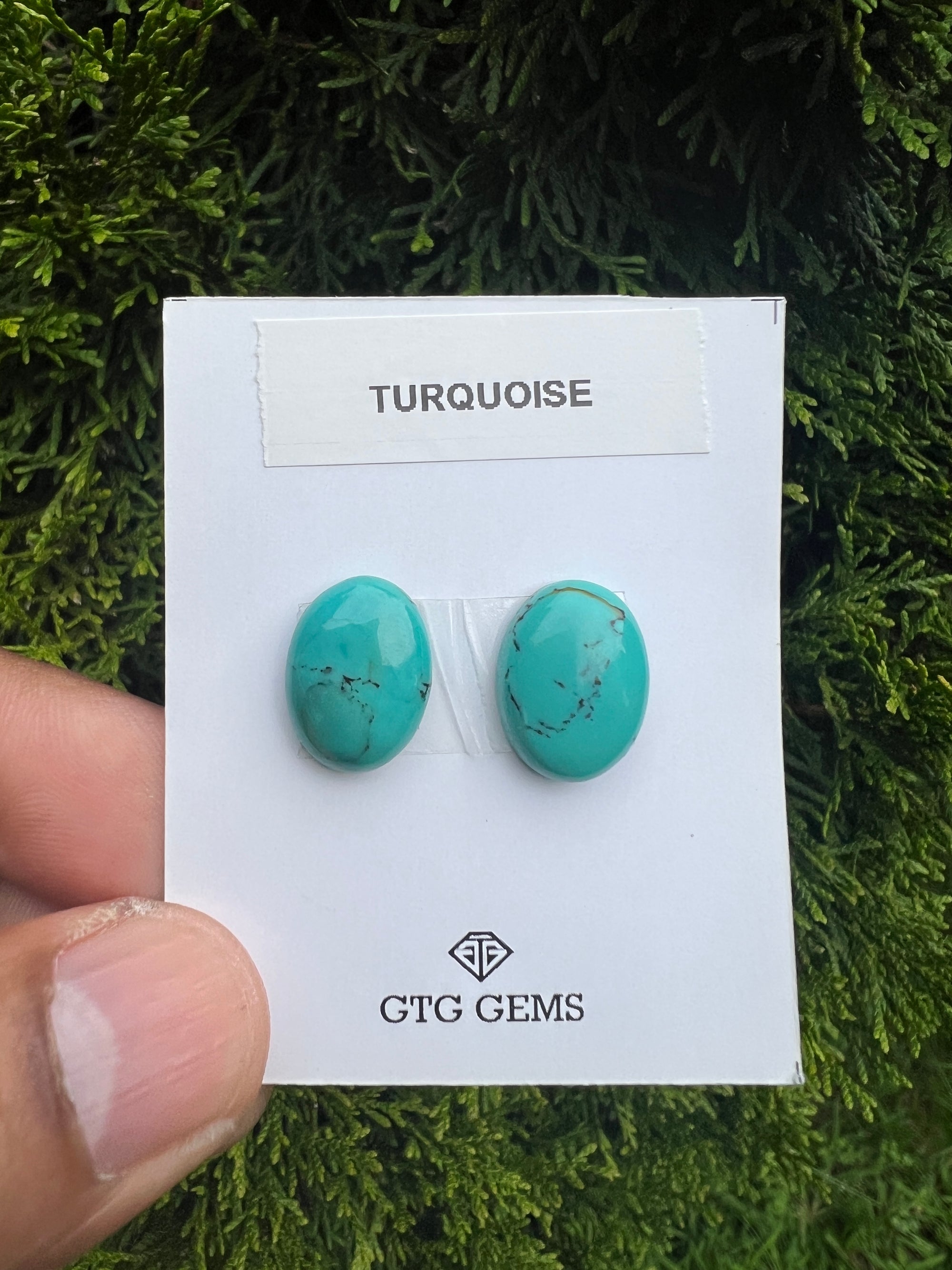 Natural Turquoise cabs 16x12mm approximately 13.80 carat (GTG-MT-6)