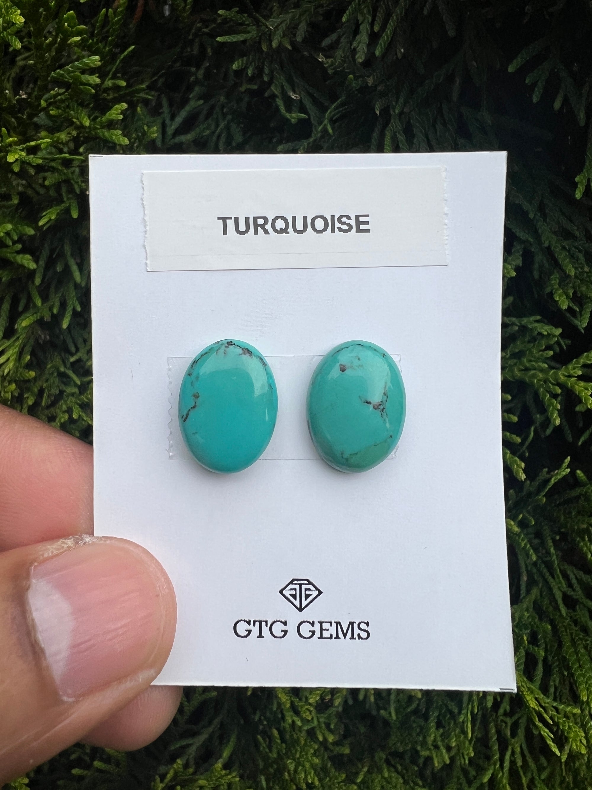 Natural Turquoise cabs 16x12mm approximately 13.80 carat (GTG-MT-11)