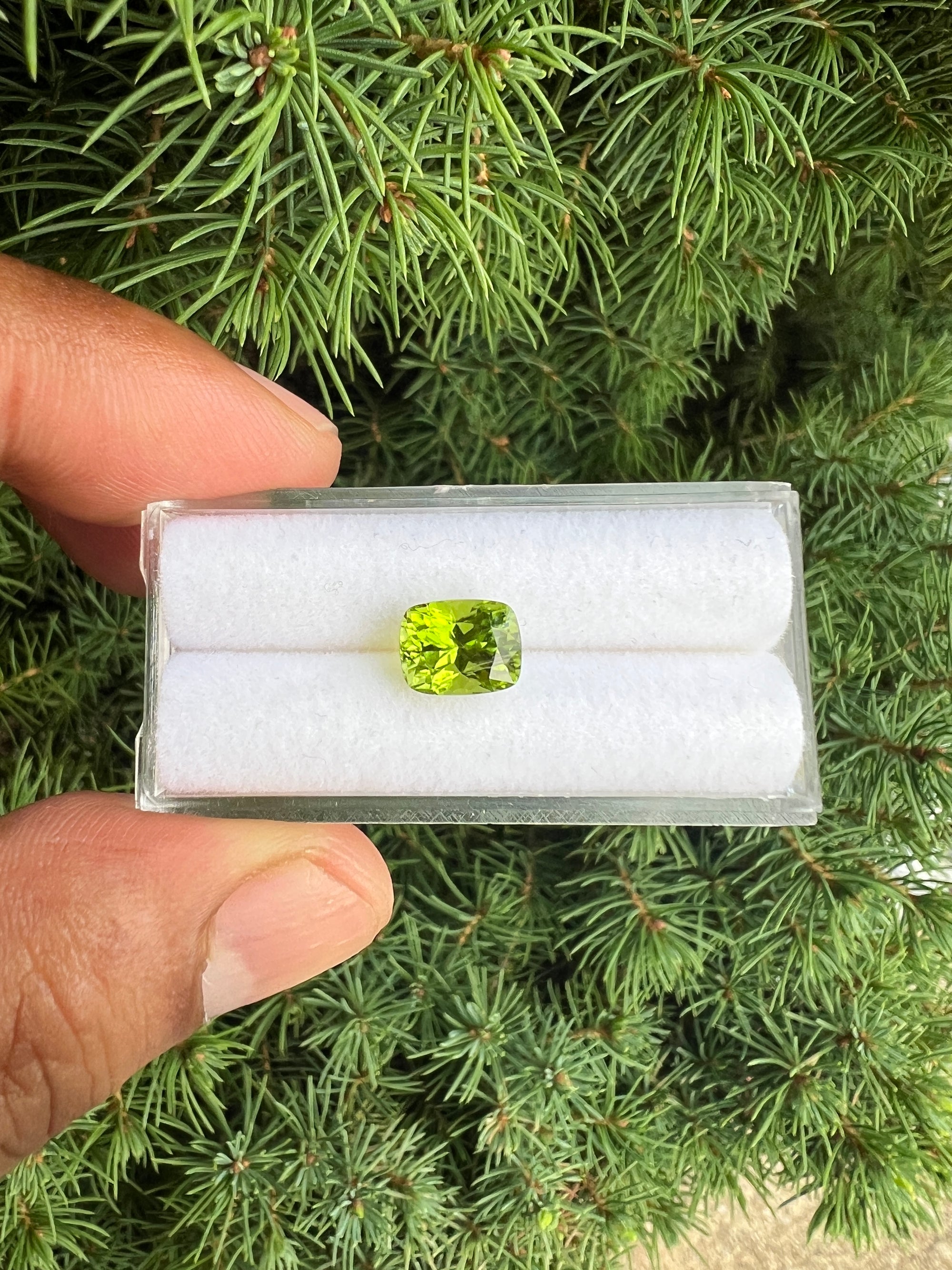 Untreated Peridot 8.7x7.8x5.6mm approximately 2.64 carat (GTG-P-10)