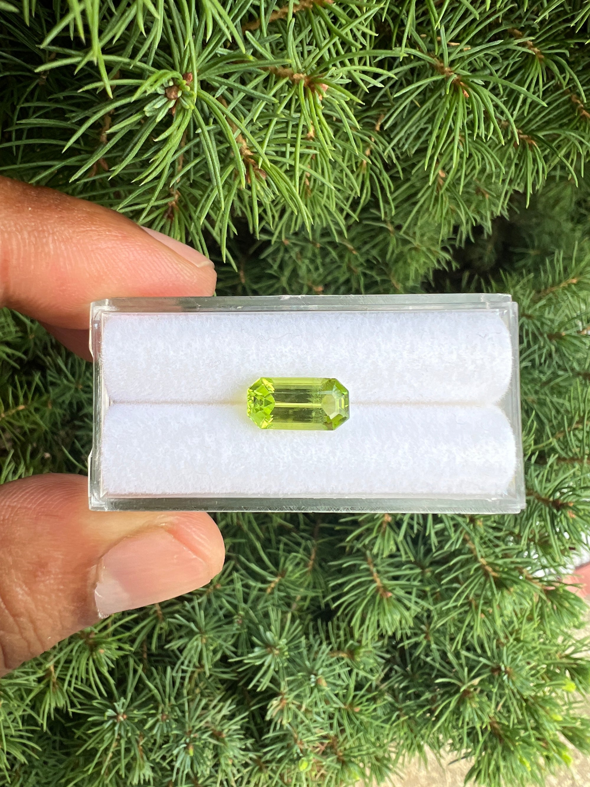 Peridot Untreated  11.2 x 5.8x4.5 mm Single Piece Approximately 2.32 Carat (GTG-P-7)