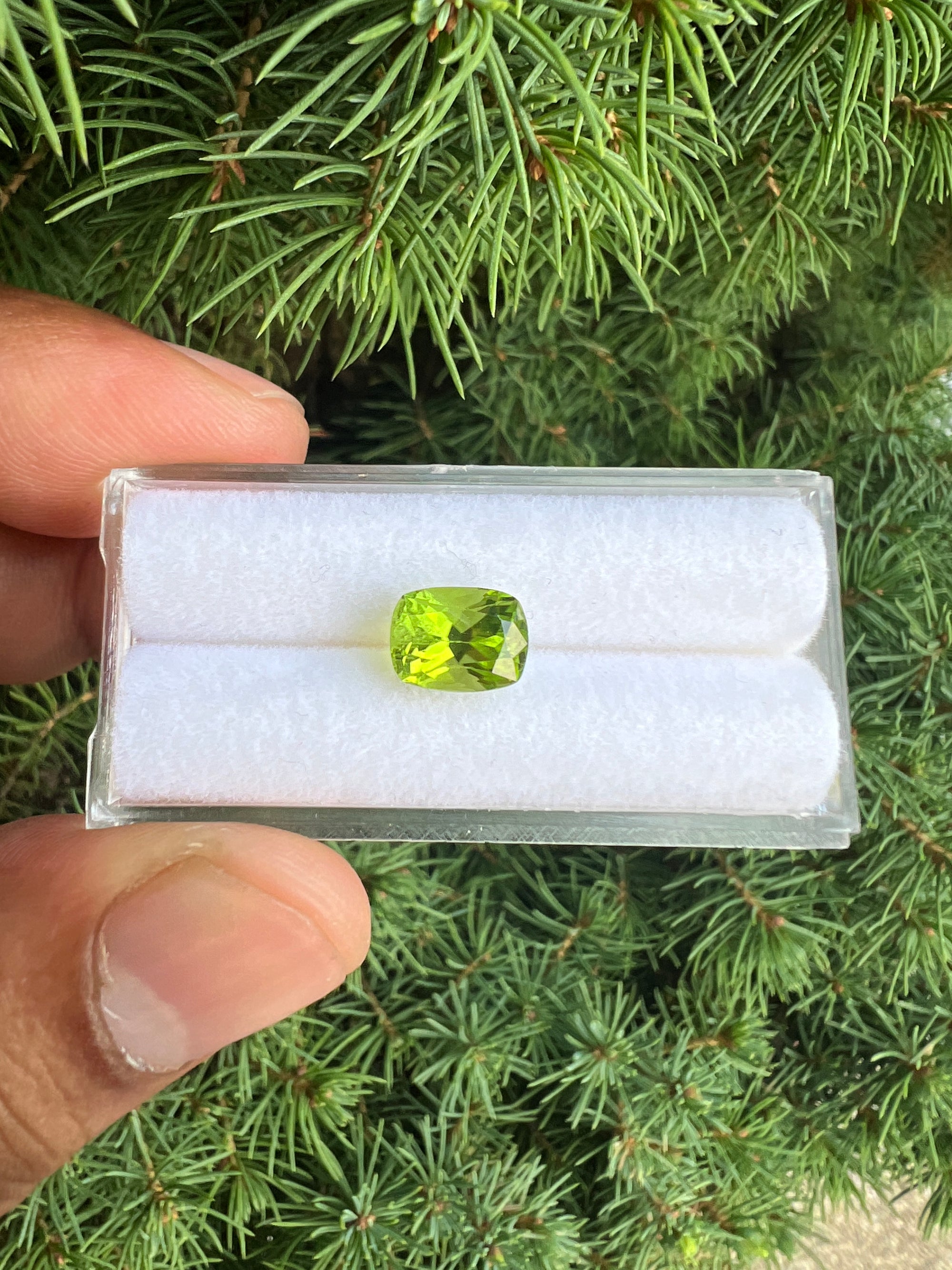 Untreated Peridot 8.5x6.7x6.7mm approximately 2.70 carat (GTG-P-5)