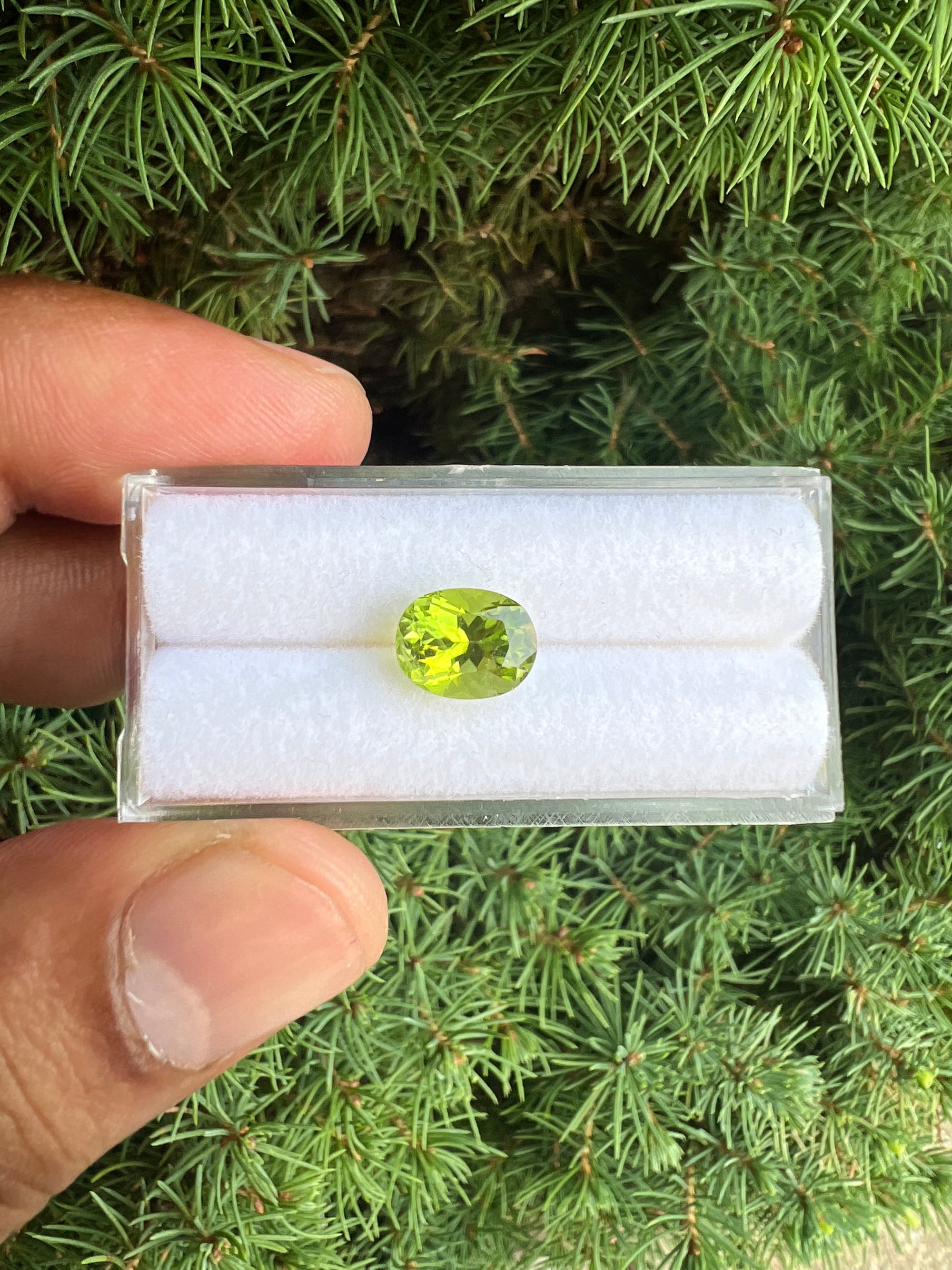Untreated Peridot oval shape 9.6x7.4x6.2mm approximately 2.72 carat(GTG-P-11)