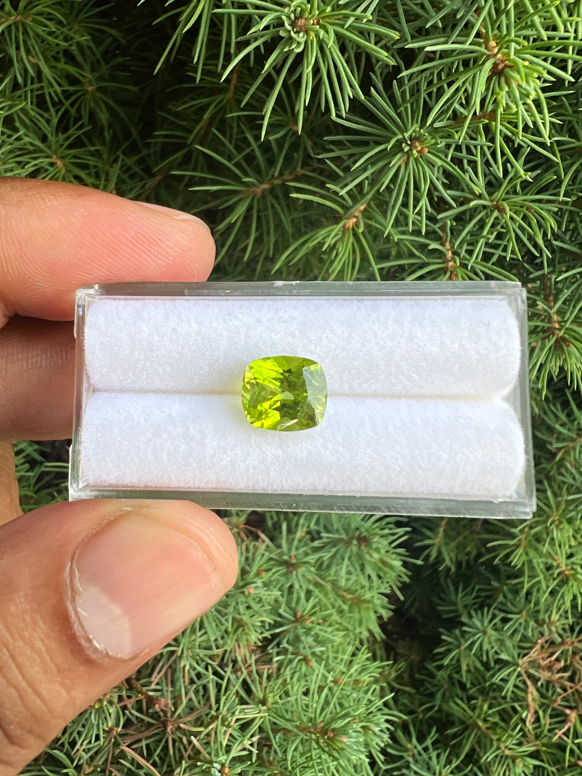 Peridot Untreated  7.6 x 7.3x6.5 mm Single Piece Approximately 2.50 Carat (GTG-P-8)
