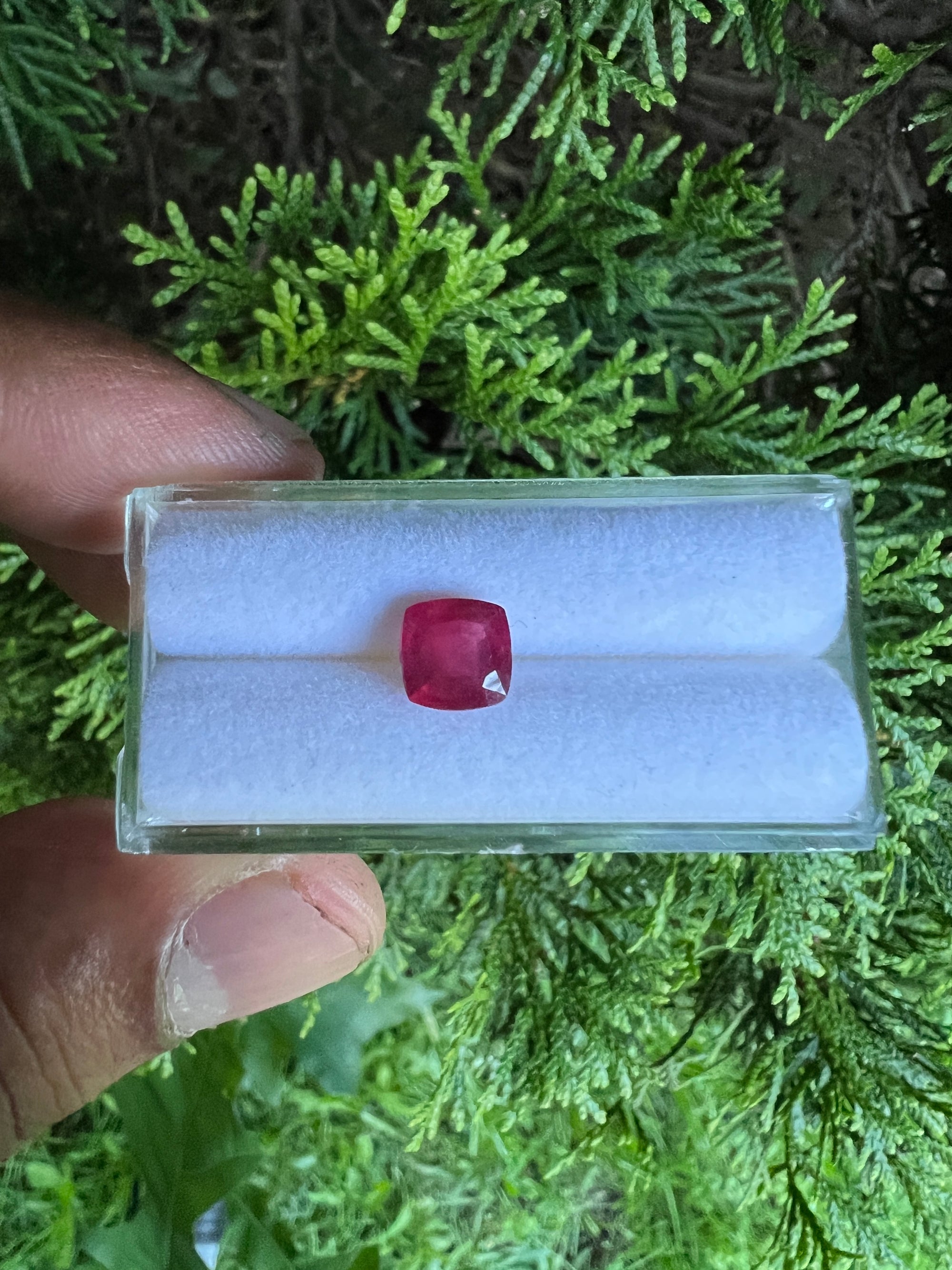 Ruby Faceted  Cushion Square 7x 7 mm Approximately  1.77  Carat, 1 Pieces  (GTG-R-5)