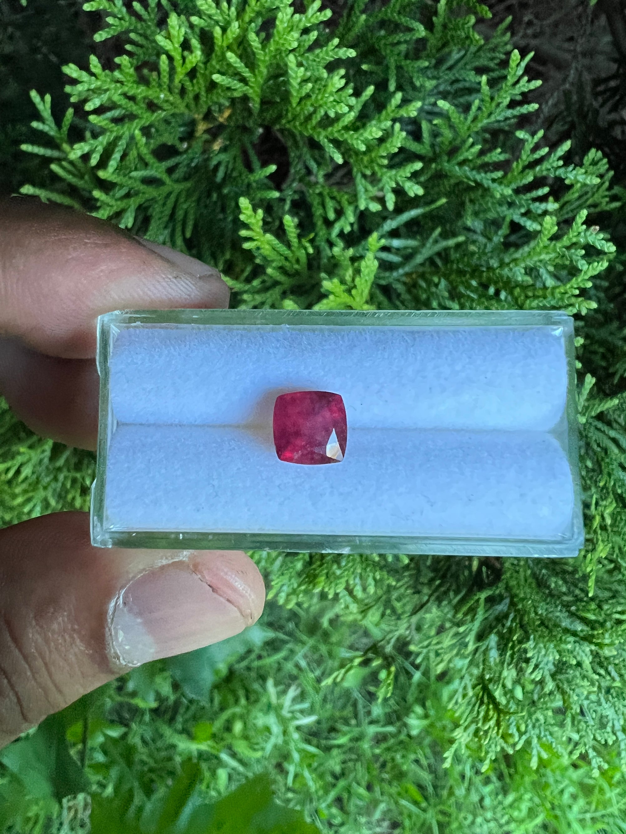 Ruby Faceted  Cushion Square 7x 7 mm Approximately  2.48  Carat, 1 Pieces  (GTG-R-6)