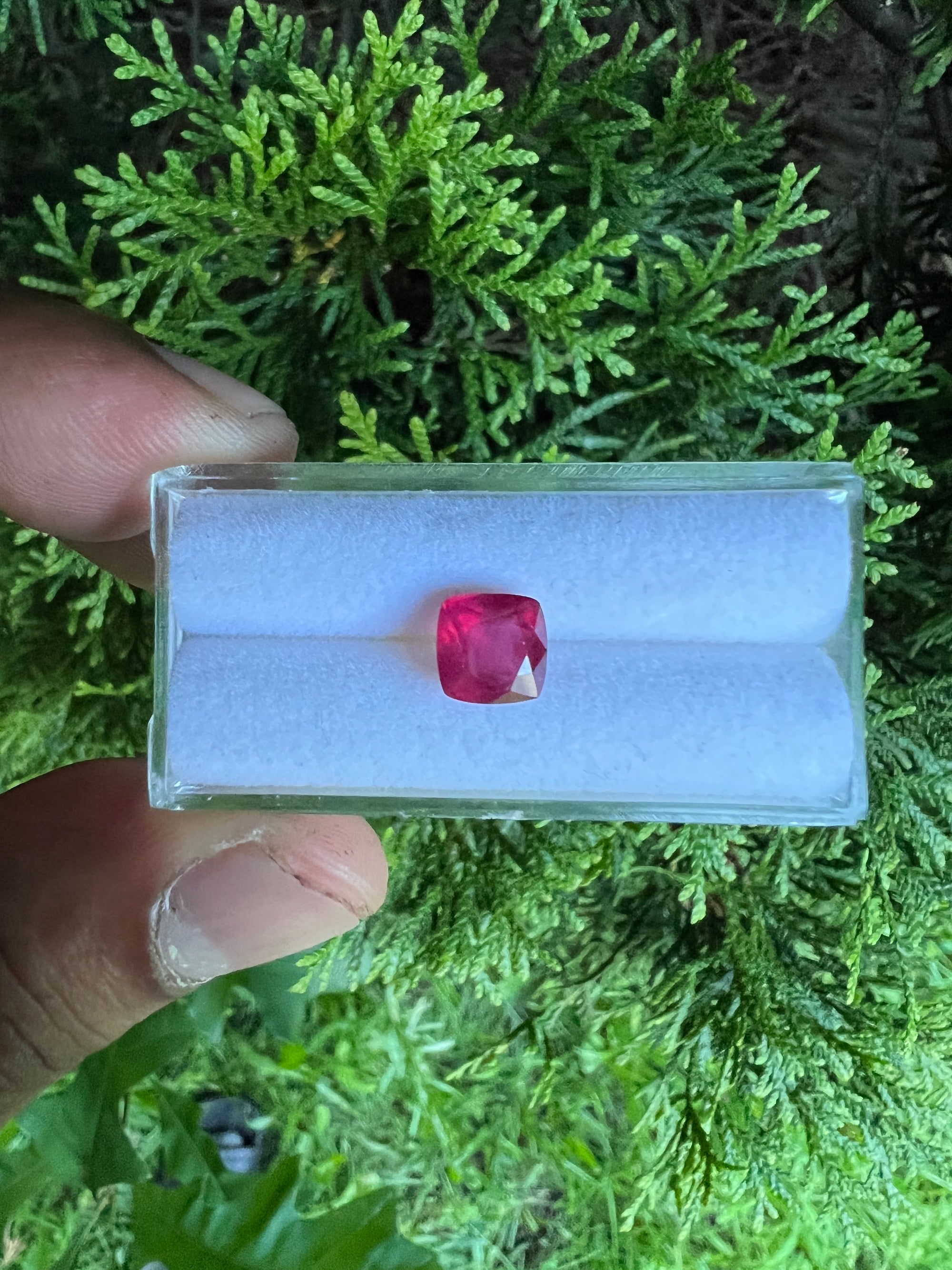 Ruby Faceted  Cushion Square 7.3x 7.3 mm Approximately 2.57  Carat, 1 Pieces  (GTG-R-4)