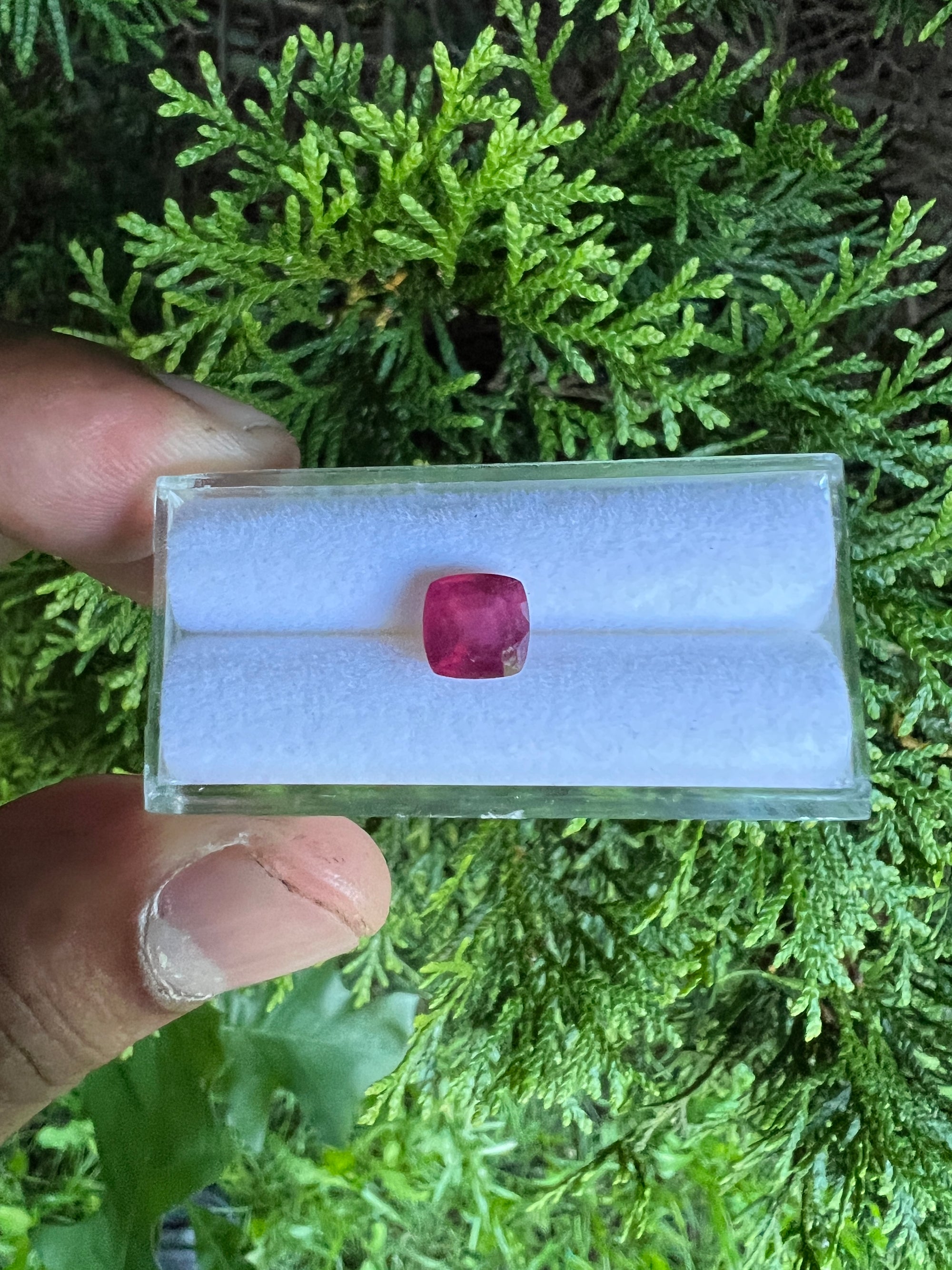 Ruby Faceted  Cushion Square 7x 7 mm Approximately  2.35 Carat, 1 Pieces  (GTG-R-3)