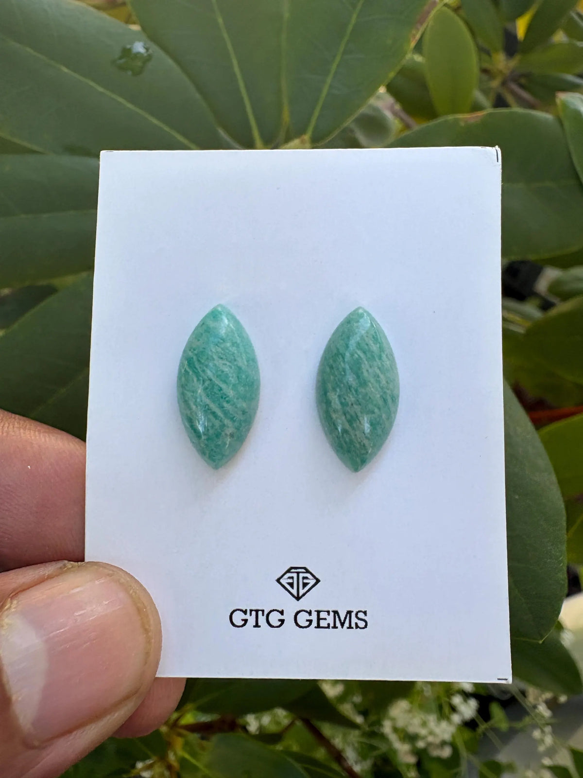 Amazonite Matching Pair Cabochon 20x10mm Approximately 14.10 Carat (GTG-AM-9)