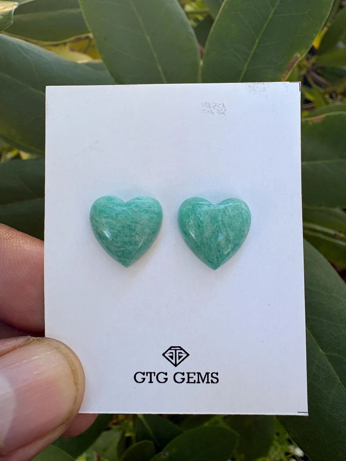 Amazonite  Matching Pair Cabochon 14mm Approximately 15.35 Carat (GTG-AM-12)