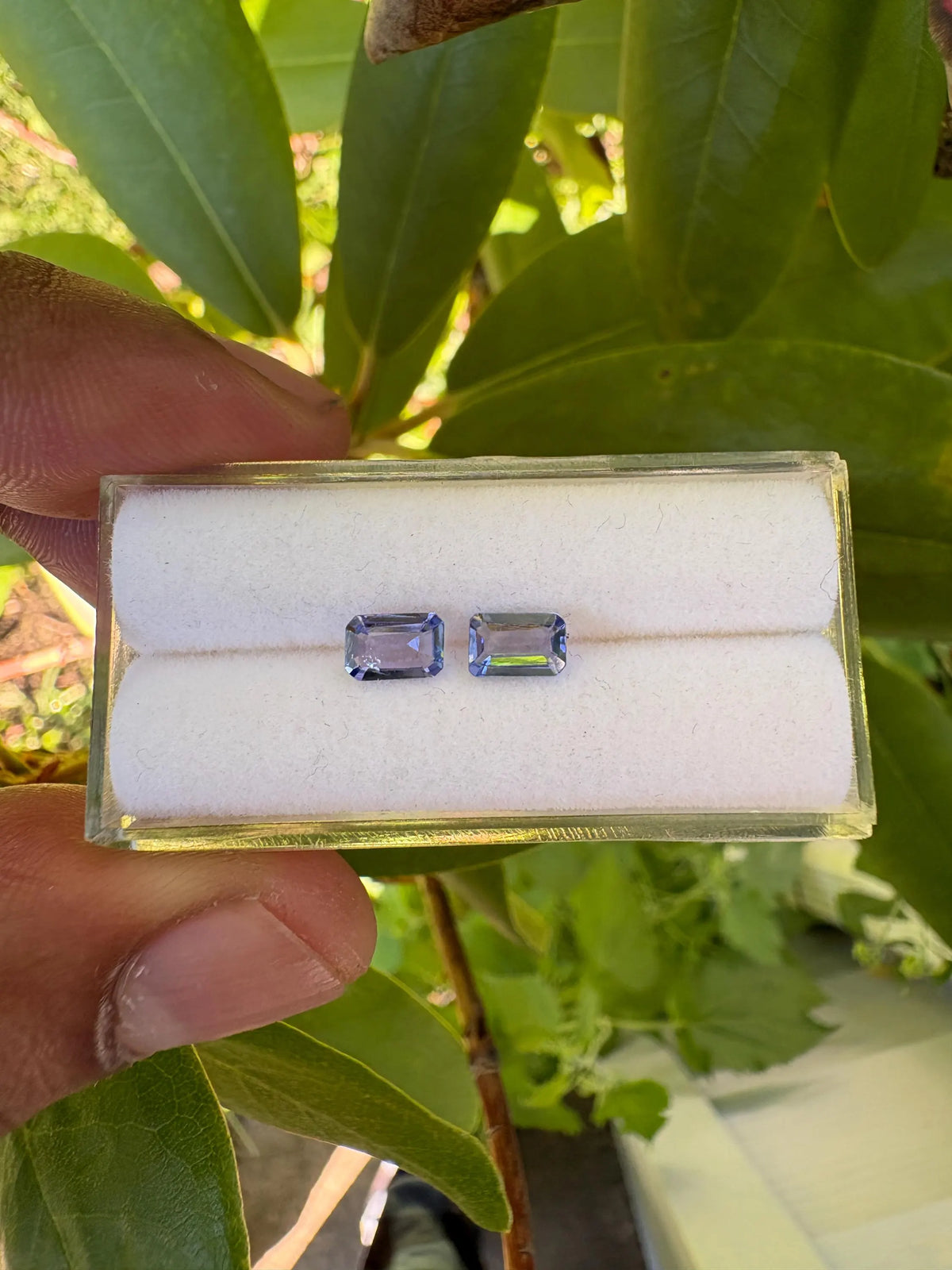 Tanzanite Emerald Cut 6x4mm Faceted matching pair Approximately 1.03 Carat