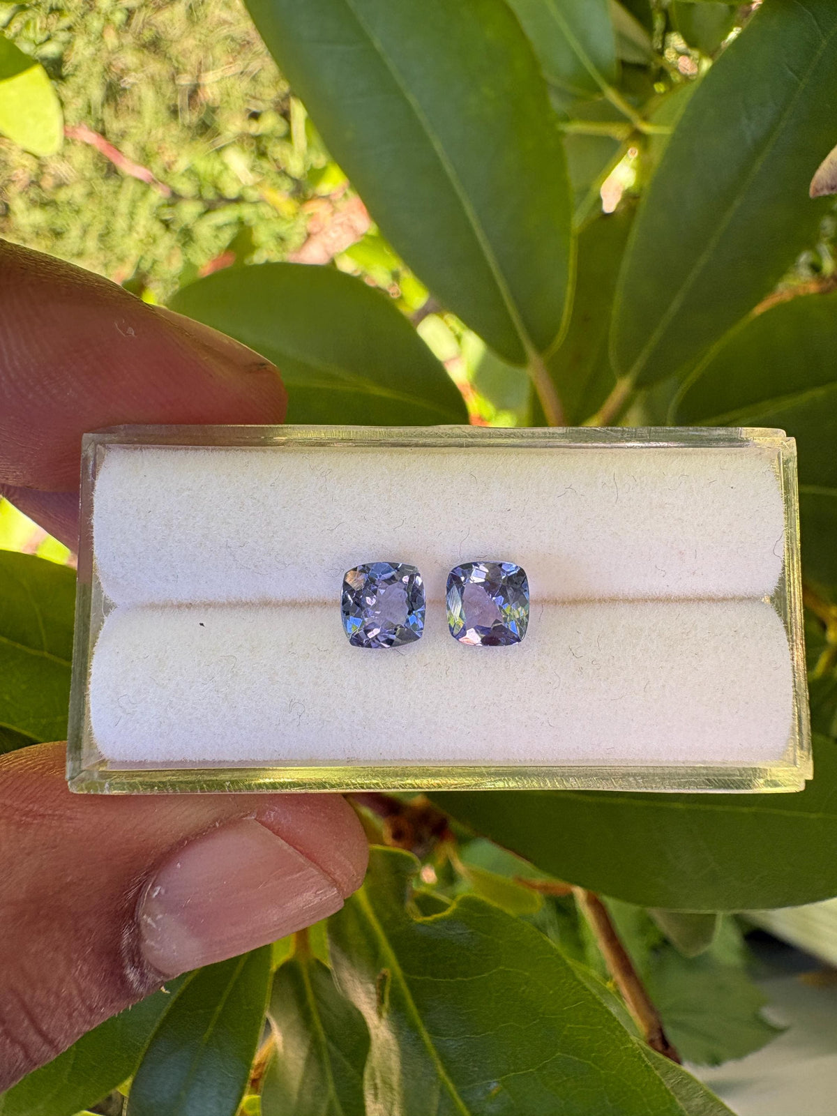 Tanzanite Cushion Square 5.7mm Faceted matching pair Approximately 1.56 Carat