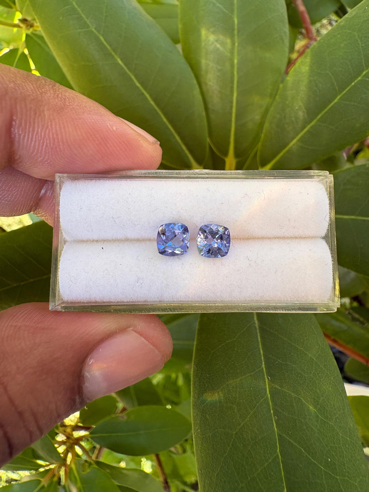 Tanzanite Cushion Square 5.7mm Faceted matching pair Approximately 1.45 Carat
