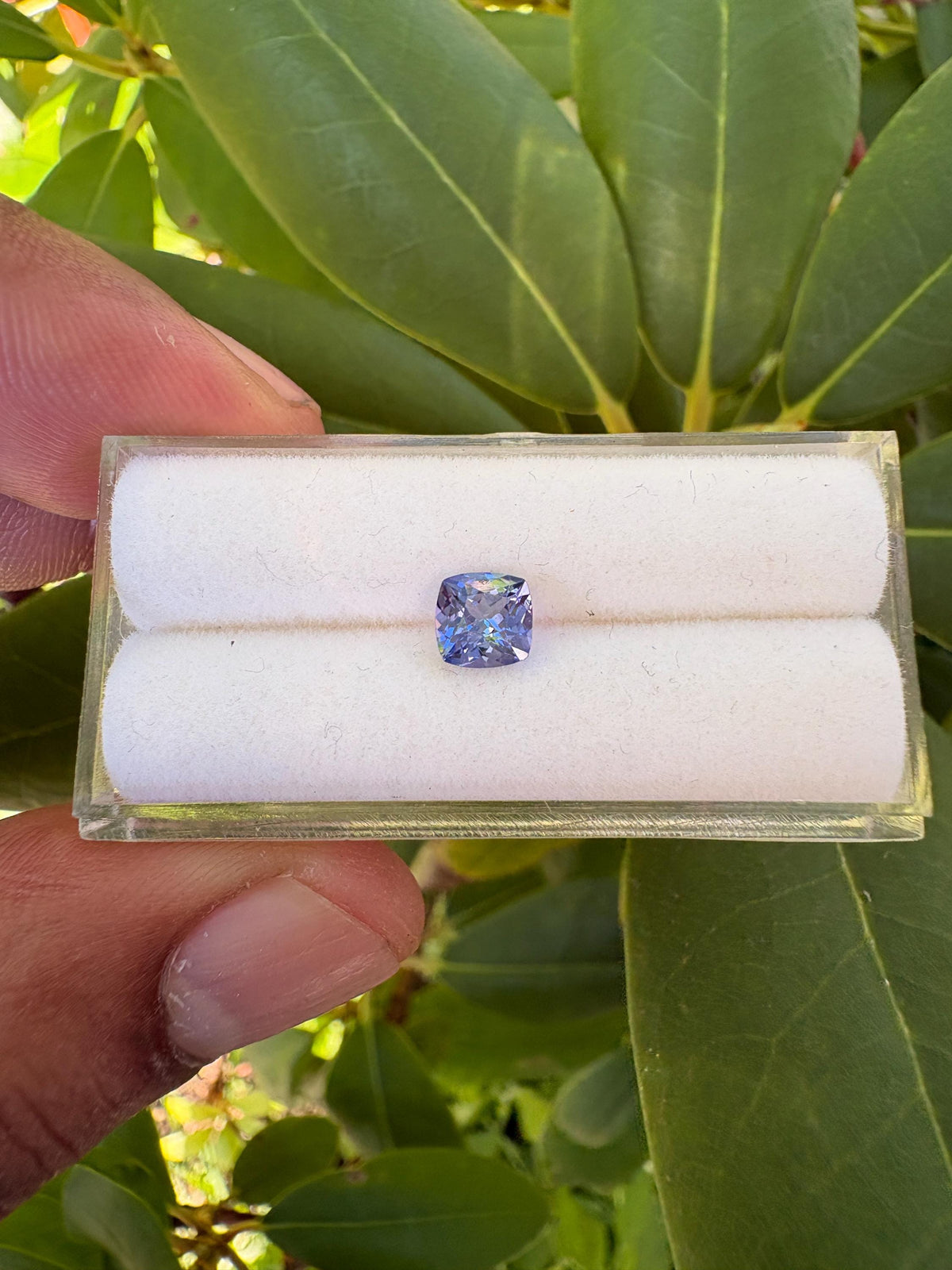 Tanzanite Cushion Square 5.7mm Faceted Single Piece Approximately 0.81 Carat