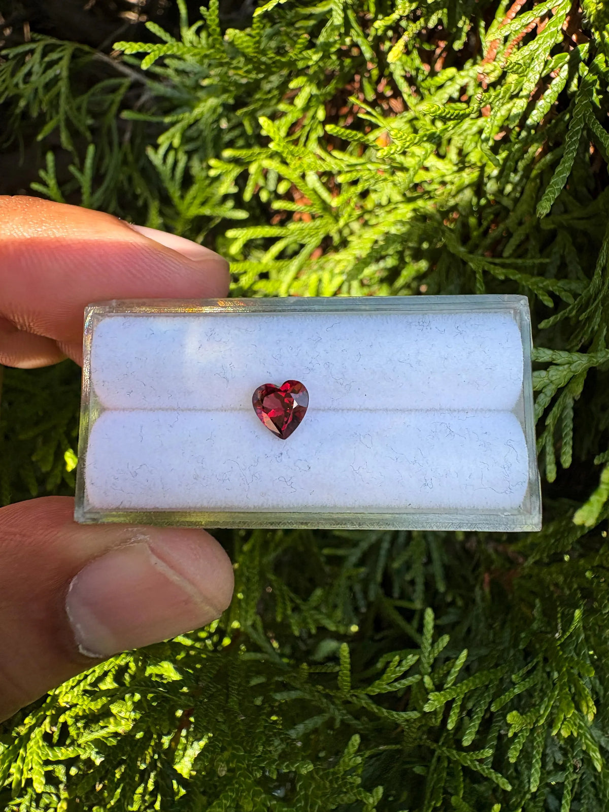 Garnet Heart Shape 6.1x6.2x4.9mm Single Piece Approximately 0.90 Carat