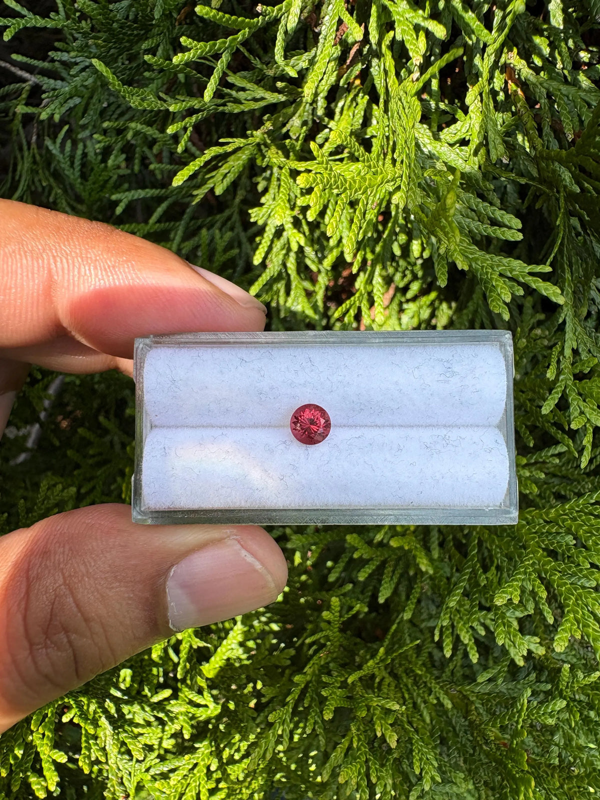 Garnet Round Shape 5.2mm Single Piece Approximately 0.61 Carat