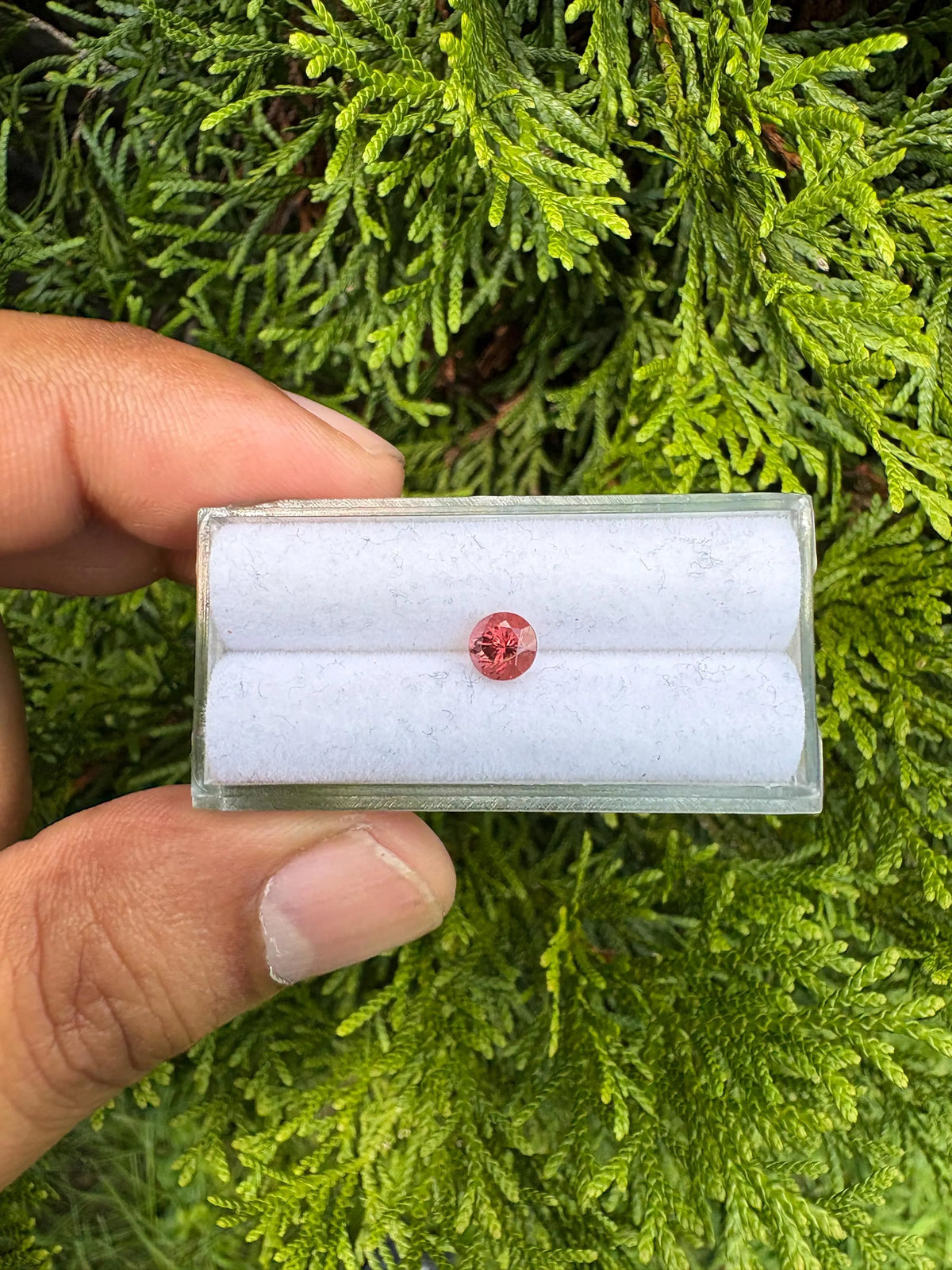 Garnet Round Shape 5.4mm Single Piece Approximately 0.80 Carat