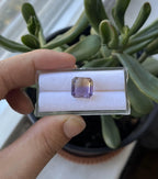 Faceted Ametrine 11mm Approximately 6.38ct  Carat (GTG-AMT-10)