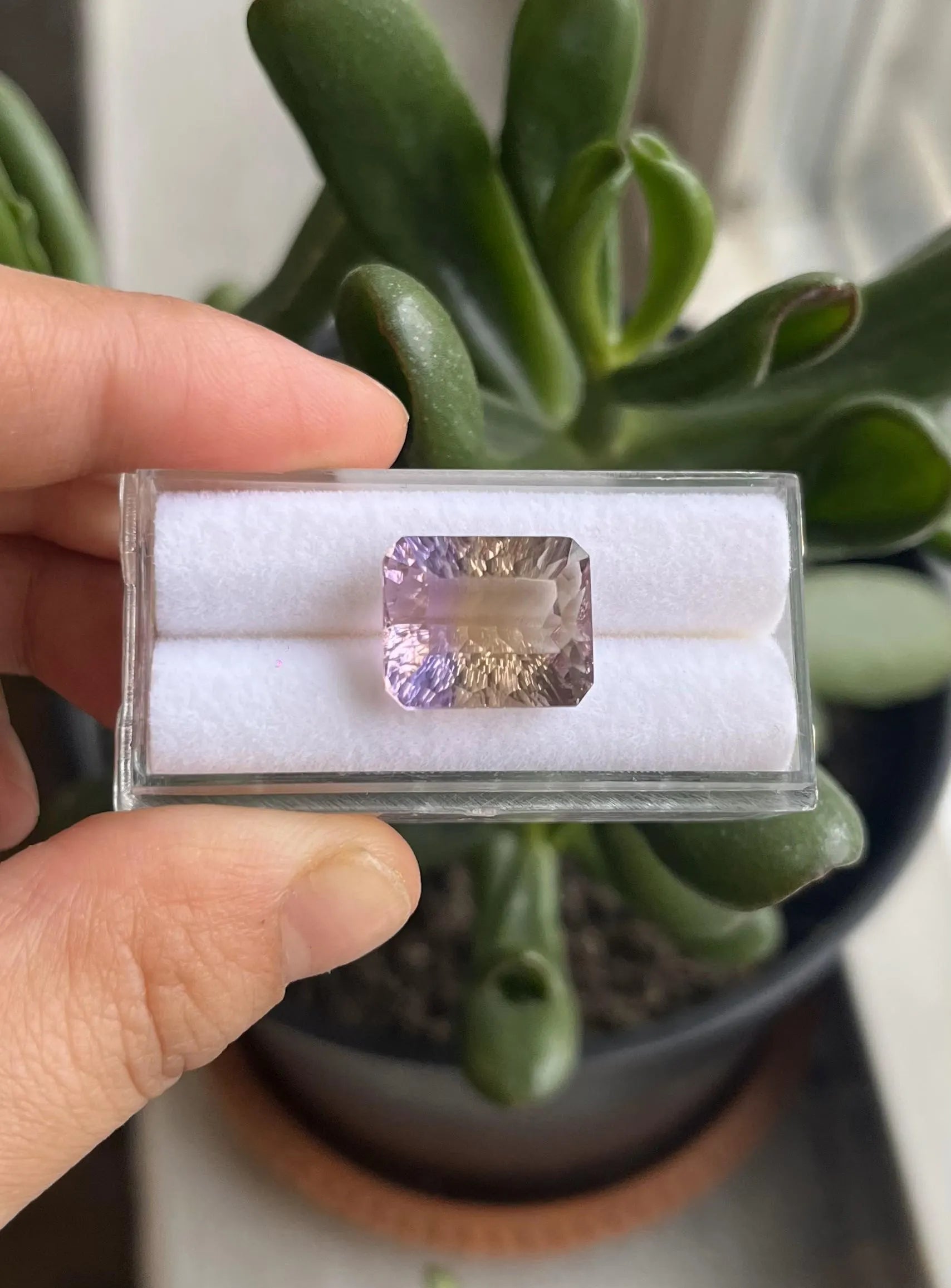 Ametrine Faceted 14x11.5mm Approximately 10.32  Carat (GTG-AMT-24)