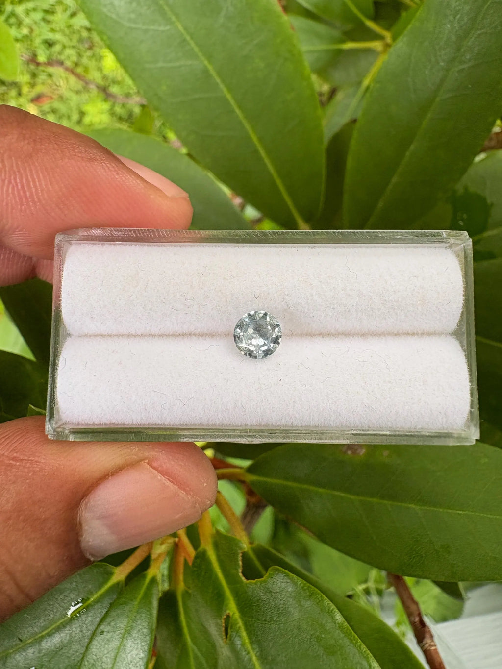 Montana Sapphire Faceted Round Shape 5.5mm Single Piece Approximately 0.70 Carat