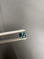 Montana Sapphire Faceted Round Shape 4.8mm Single Piece Approximately 0.48 Carat