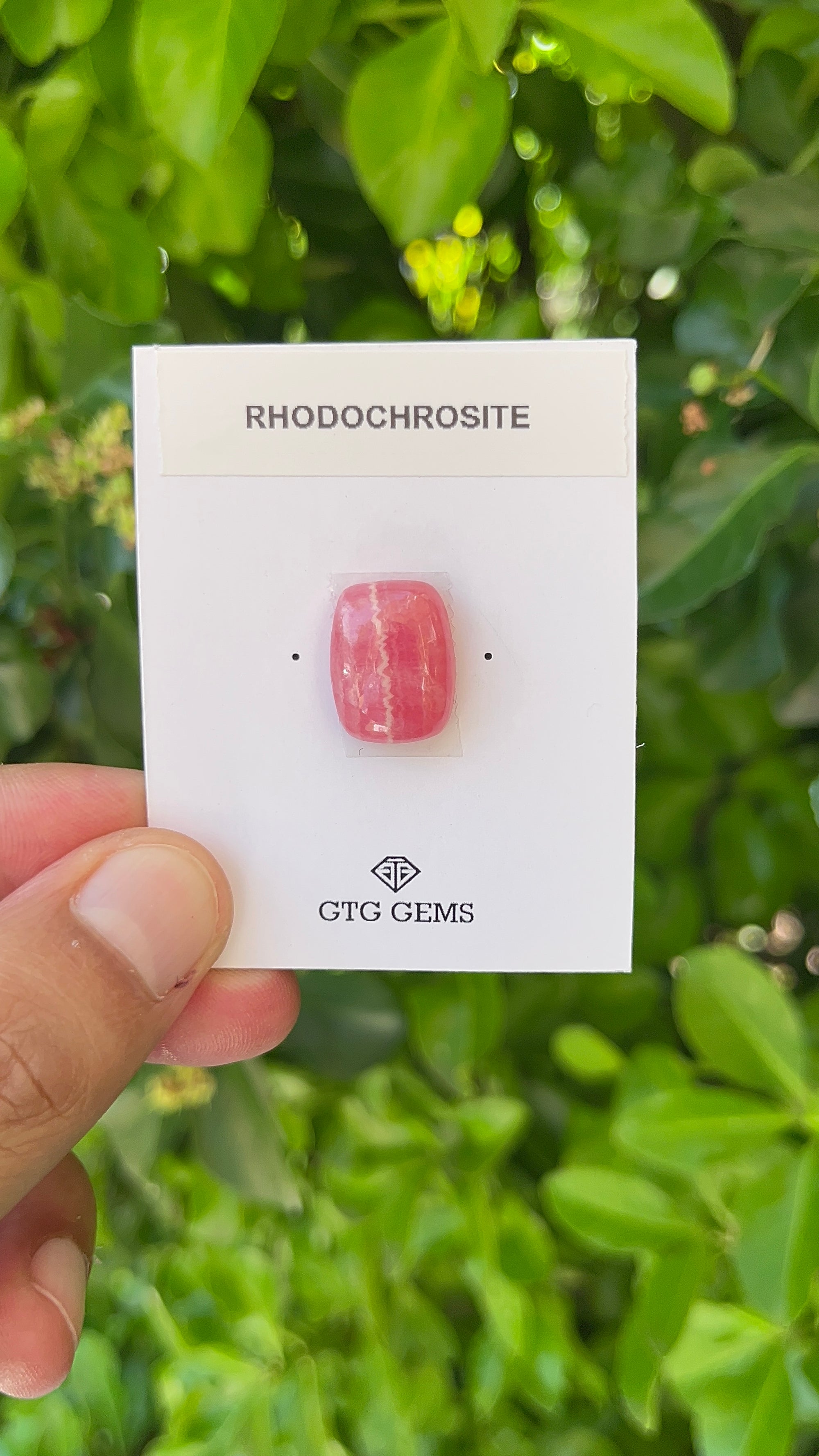 Rhodochrosite Cabochon, Rhodochrosite 16x13 mm, Approximately 14.58 carat (GTG-RCH-52)
