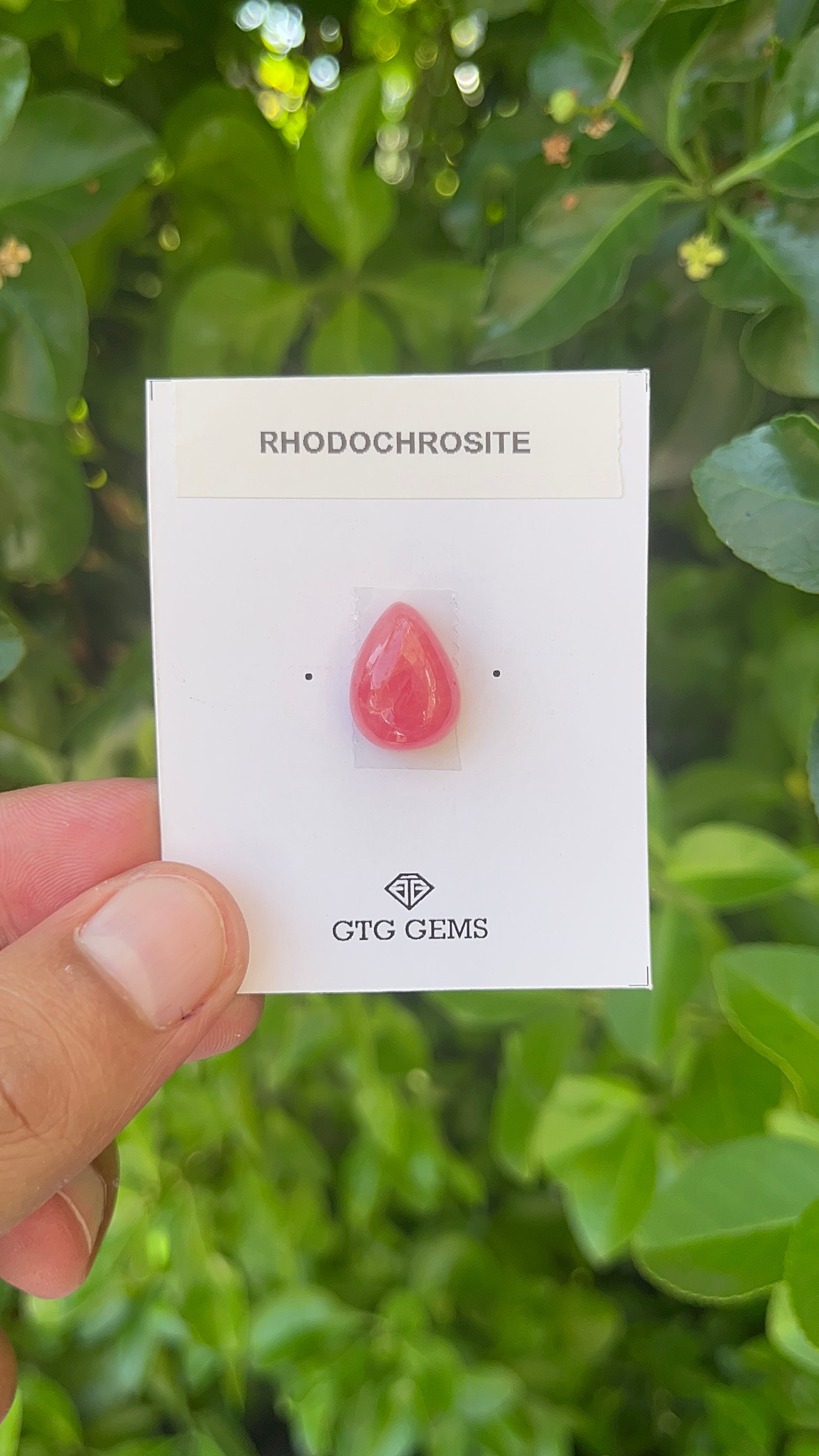 Rhodochrosite Cabochon, Rhodochrosite 15.5x11.5 mm, Approximately 12.97 carat (GTG-RCH-62)