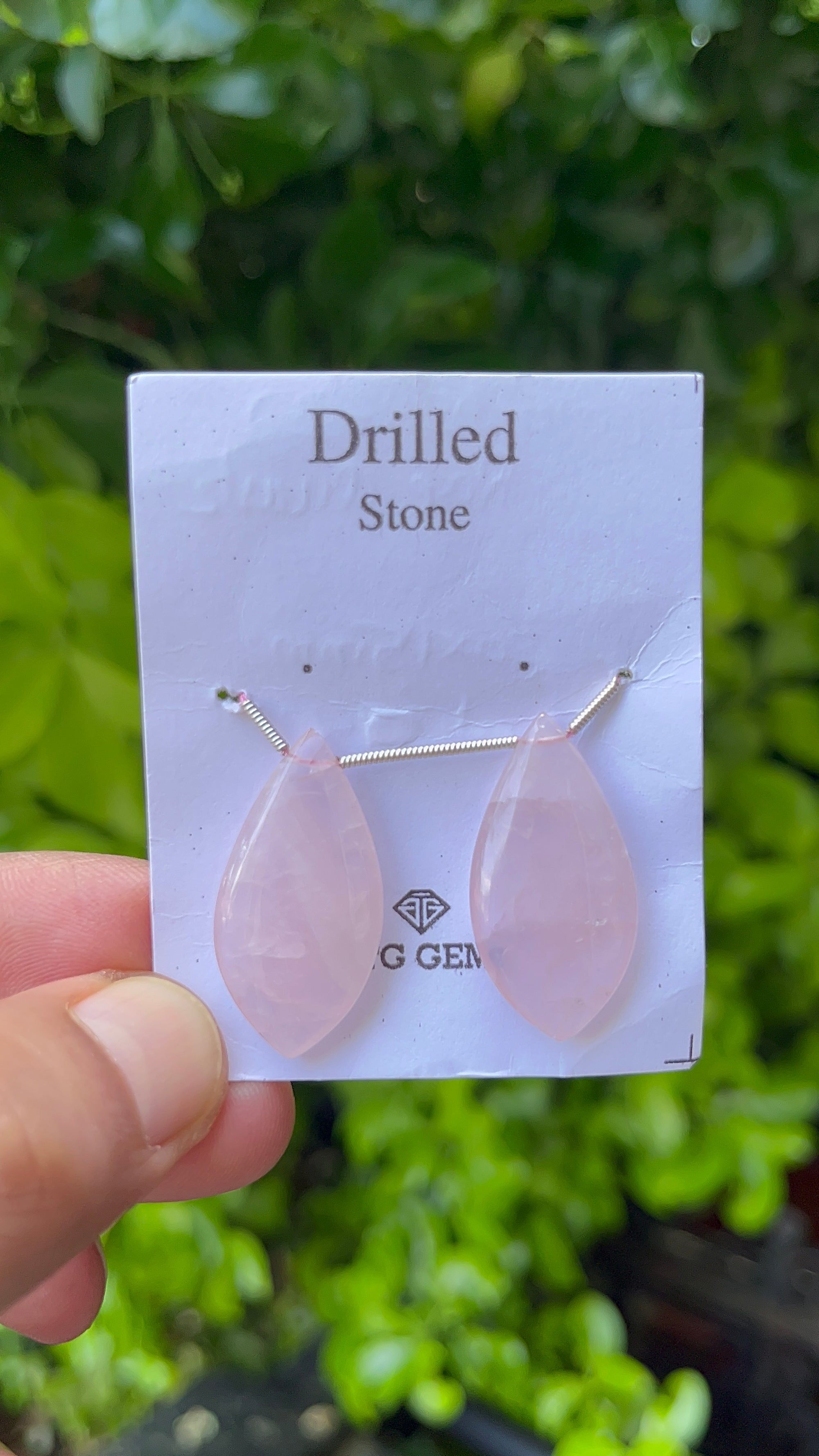 Drilled Rose Quartz Matching Pair 30x15mm Approximately 32.5 Carat