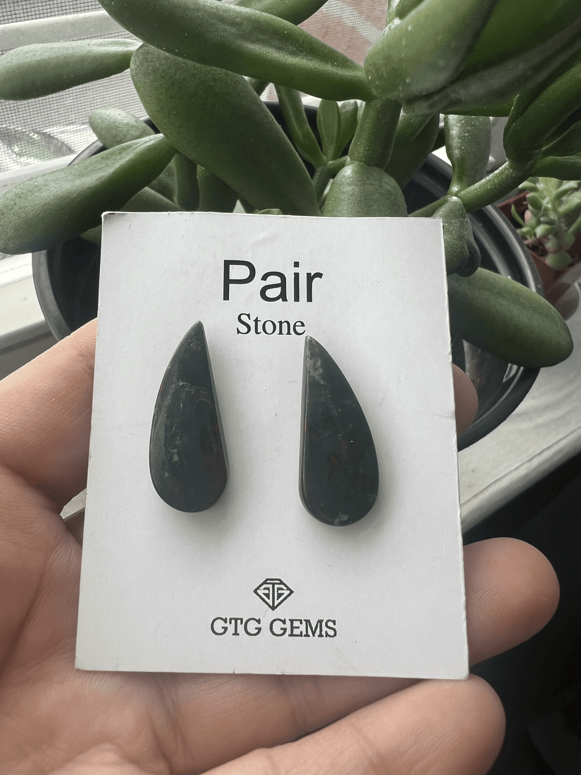 Heliotrope( Blood Stone ) Matching Pair Approximately  16 Carat