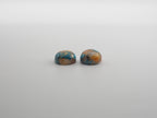 Oyster Copper Turquoise Cabochon Round 10mm Approximately 8.50 Carat (GTG-OT-26)