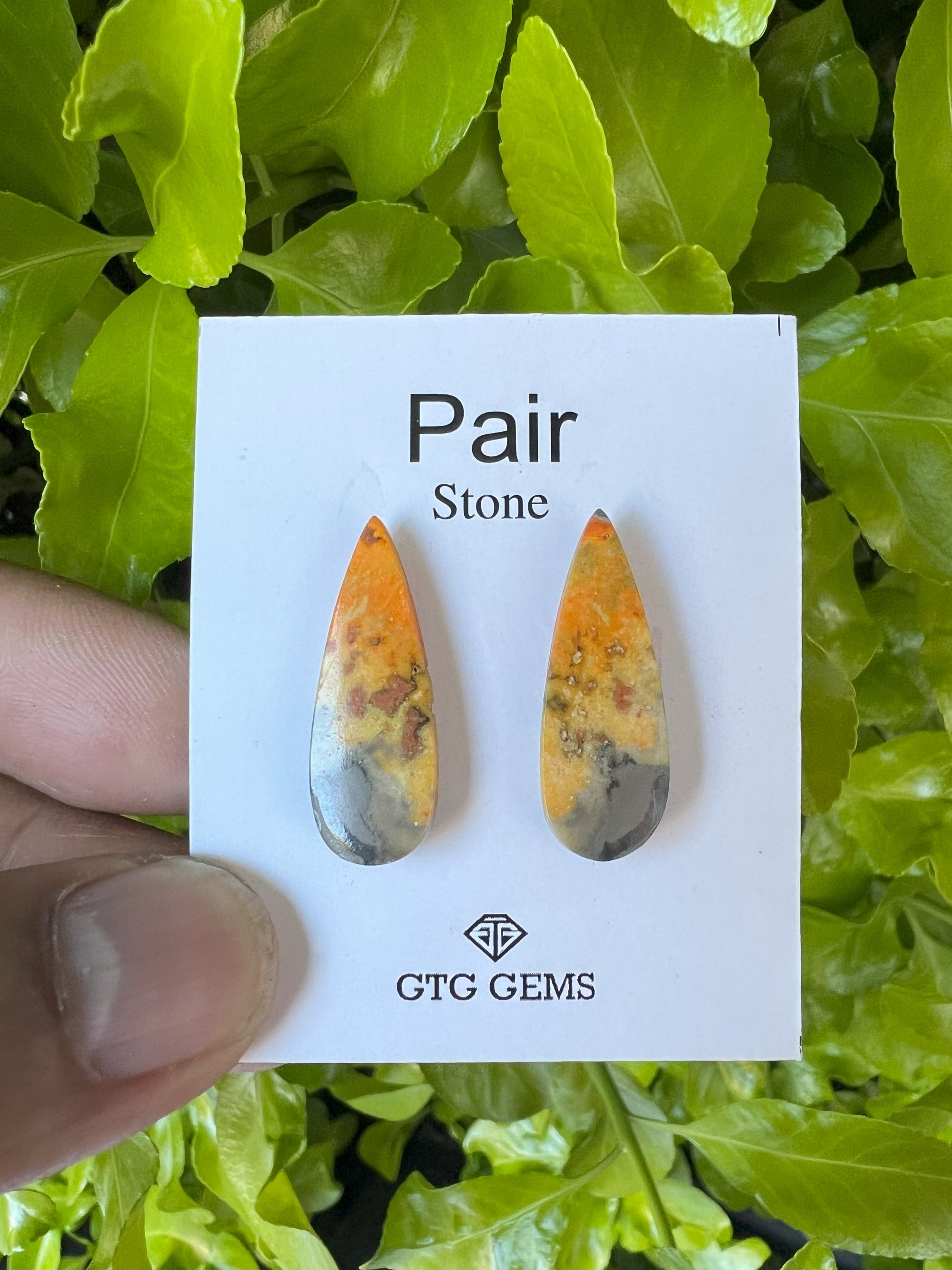 Matching Pair Jasper Cabochon, Teardrop Jasper 28x10mm (GTG-BBJ-1)
