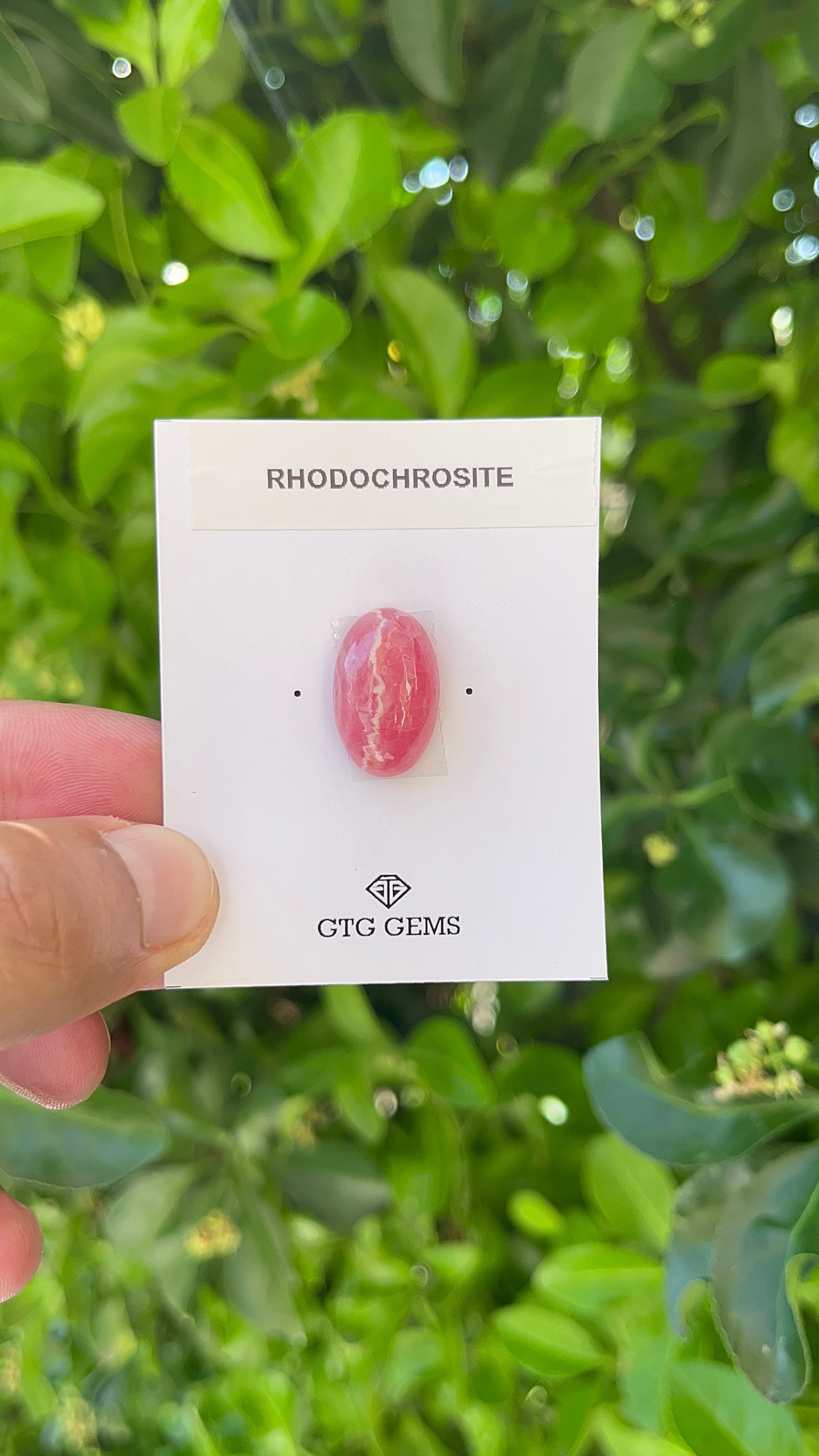 Rhodochrosite Cabochon, Rhodochrosite 19x12 mm, Approximately 16.63 carat (GTG-RCH-24)