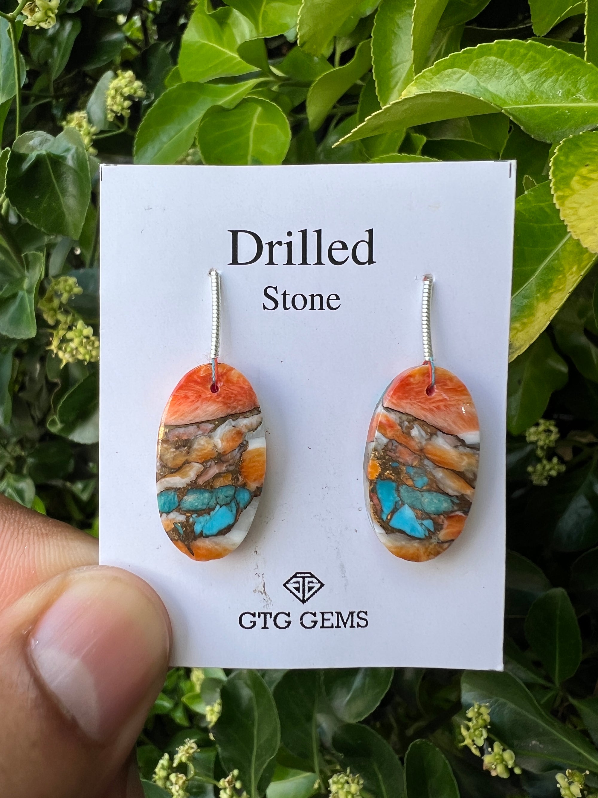 Drilled Oyster Turquoise, Matching pair 24x13 mm Approximately 28 Carat (GTG-DOT-23)