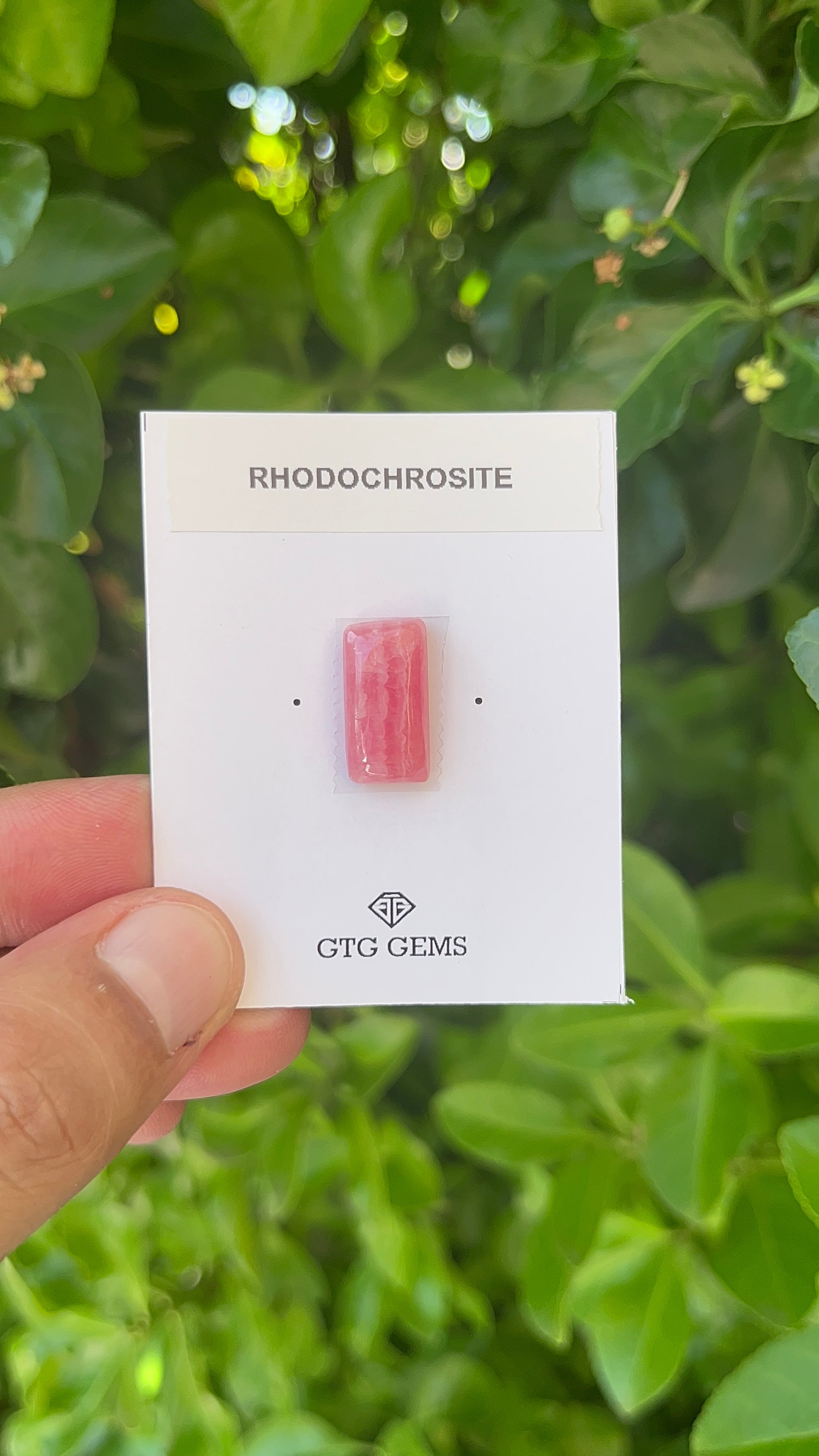 Rhodochrosite Cabochon, Rhodochrosite 18x19 mm, Approximately 11.47 carat (GTG-RCH-55)