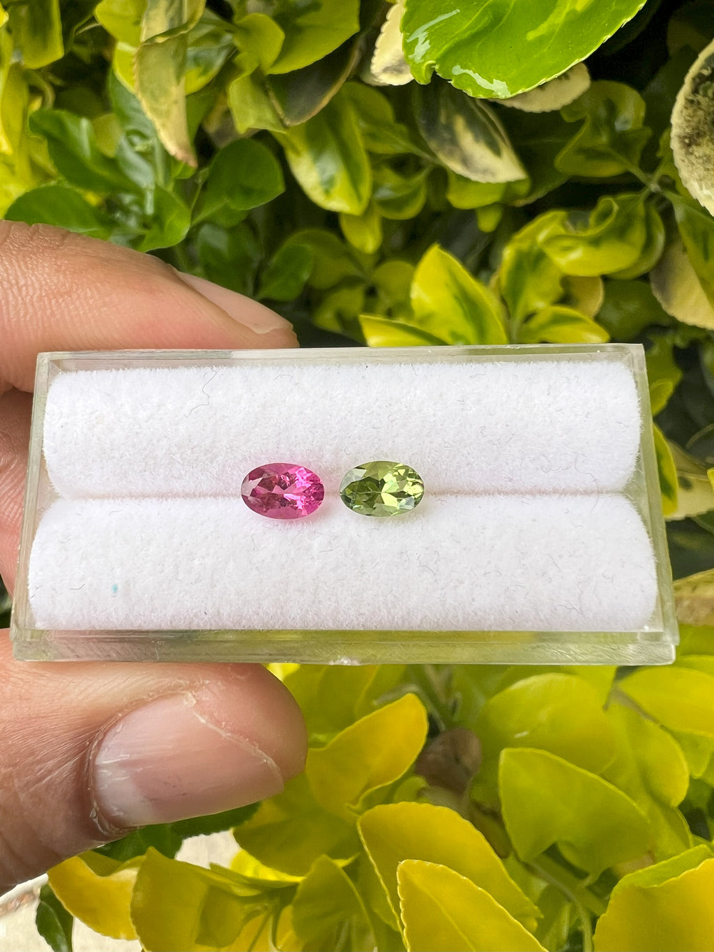 Natural Tourmaline Faceted 6.3 x 4.3 x 3.5mm , Approximately 1.08 Carat, 2 pcs