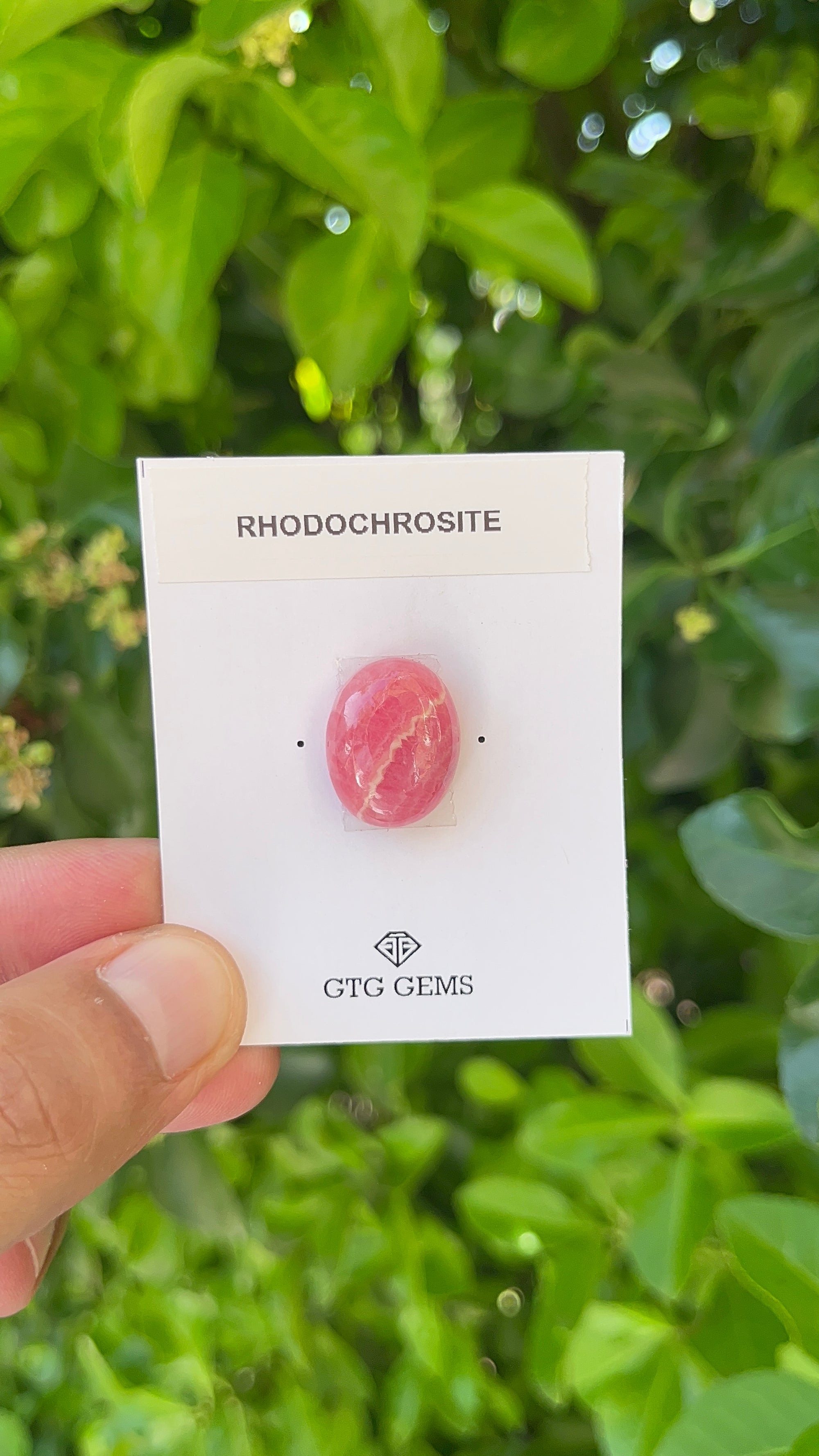 Rhodochrosite Cabochon, Rhodochrosite 18x14 mm, Approximately 20.89 carat (GTG-RCH-30)