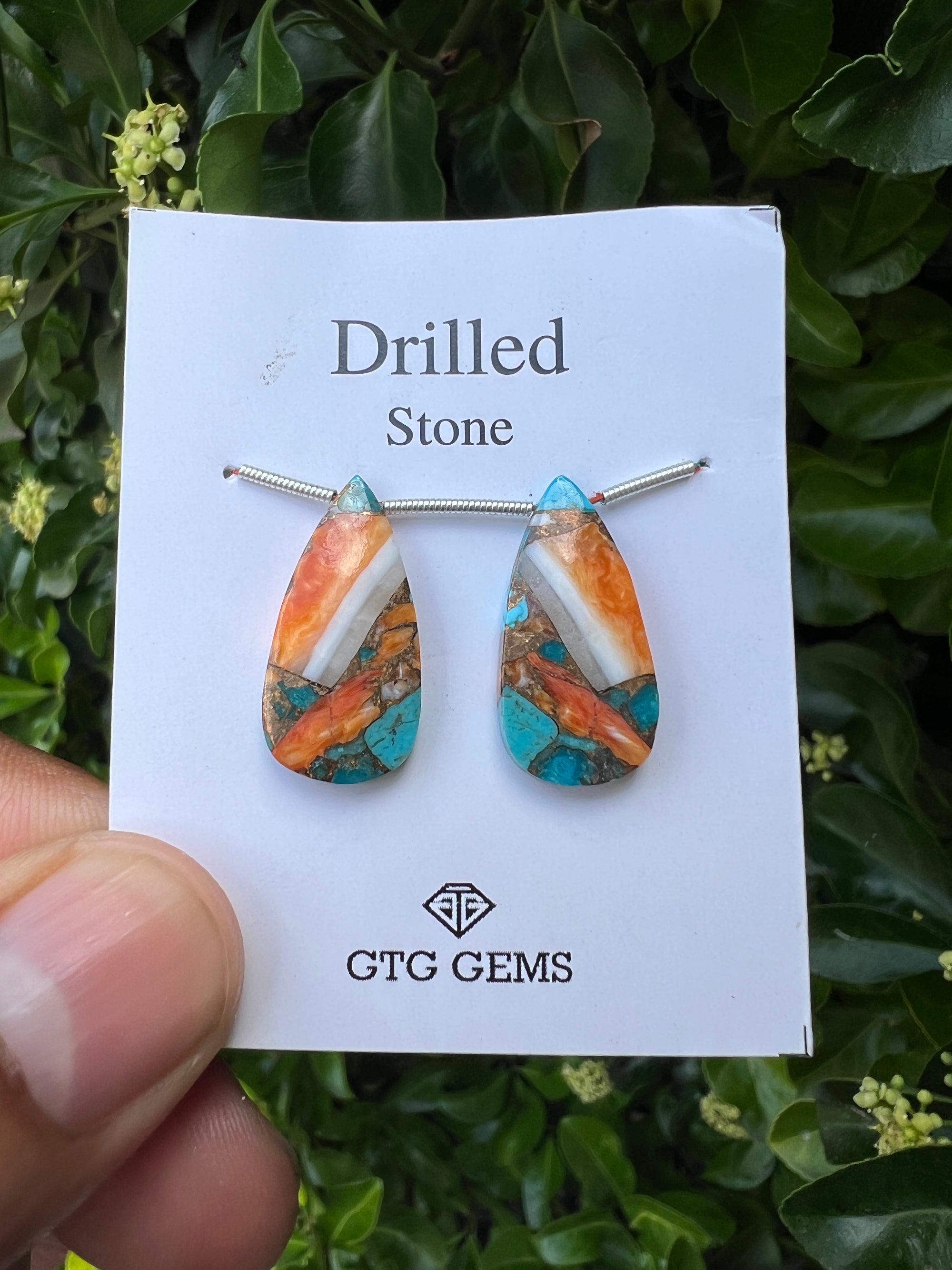 Drilled Oyster Turquoise 23x11 mm Approximately 16.50 Carat (GTG-DOT-12)