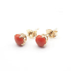 Coral  Round 5 mm Stud Earrings in 14K Yellow  Gold