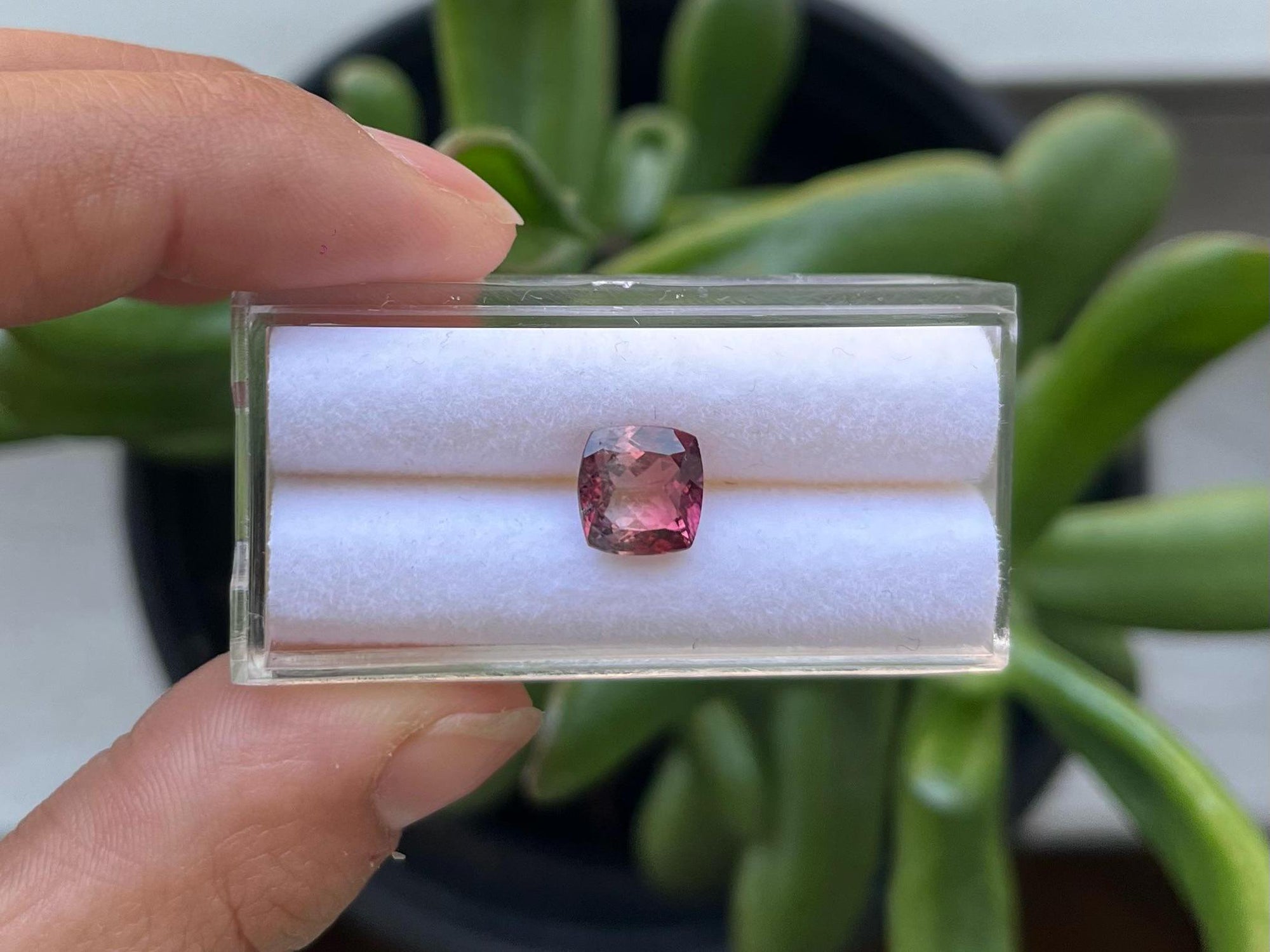 Square Shaped Tourmaline 7.9mm Single Piece Approximately 2 Carat (GTG-TOU-260)