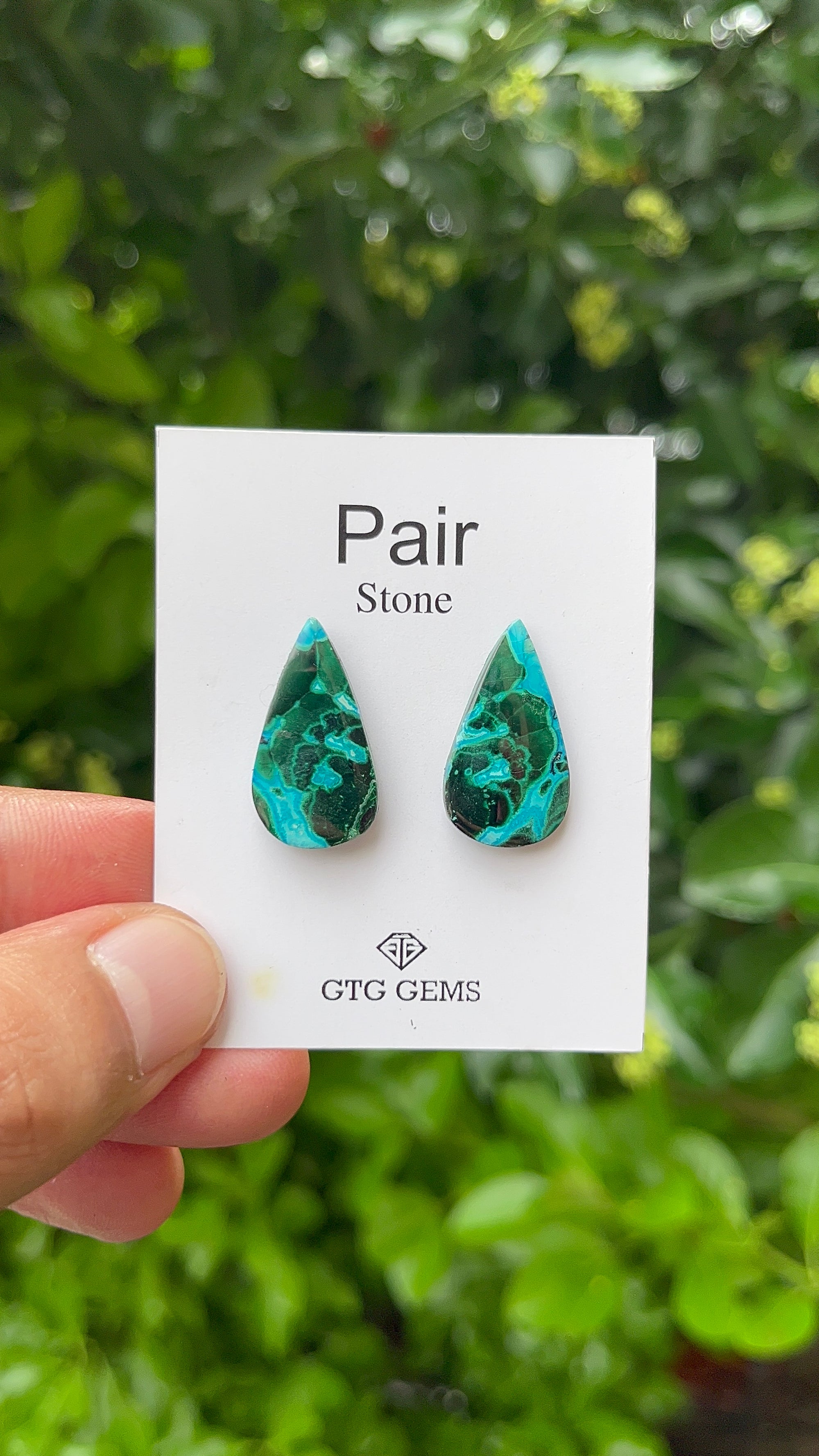Chrysocolla Malachite, Cabochon Matching Pair 23x13mm, Approximately 18.50 carat (GTG-MCM-6)