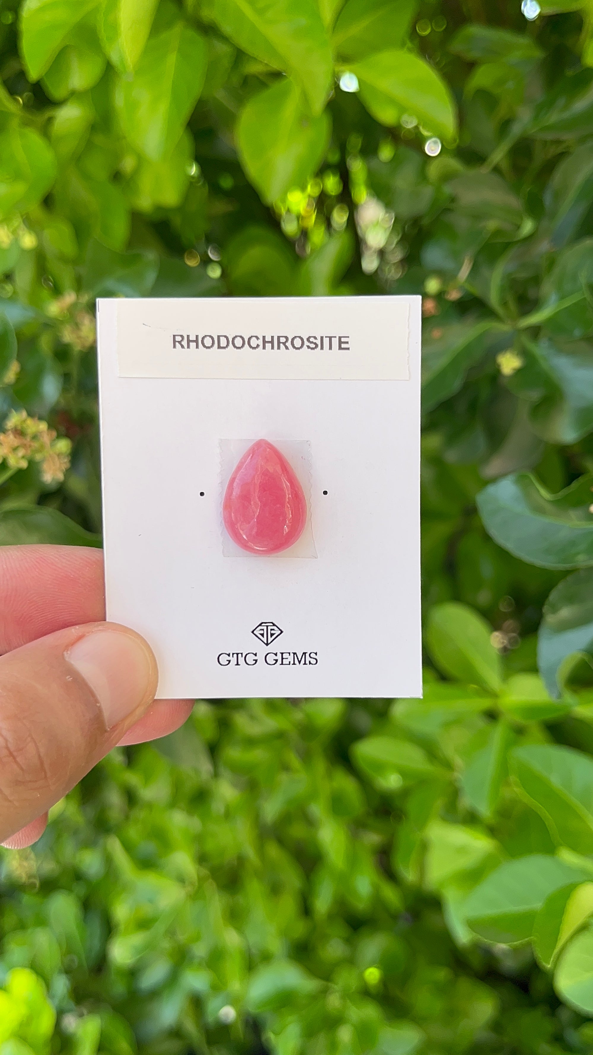 Rhodochrosite Cabochon, Rhodochrosite 18x13 mm, Approximately 13.16 carat (GTG-RCH-29)