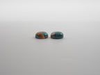 Oyster Copper Turquoise Cabochon Oval 10x8 mm Approximately 6.09 Carat (GTG-OT-31)