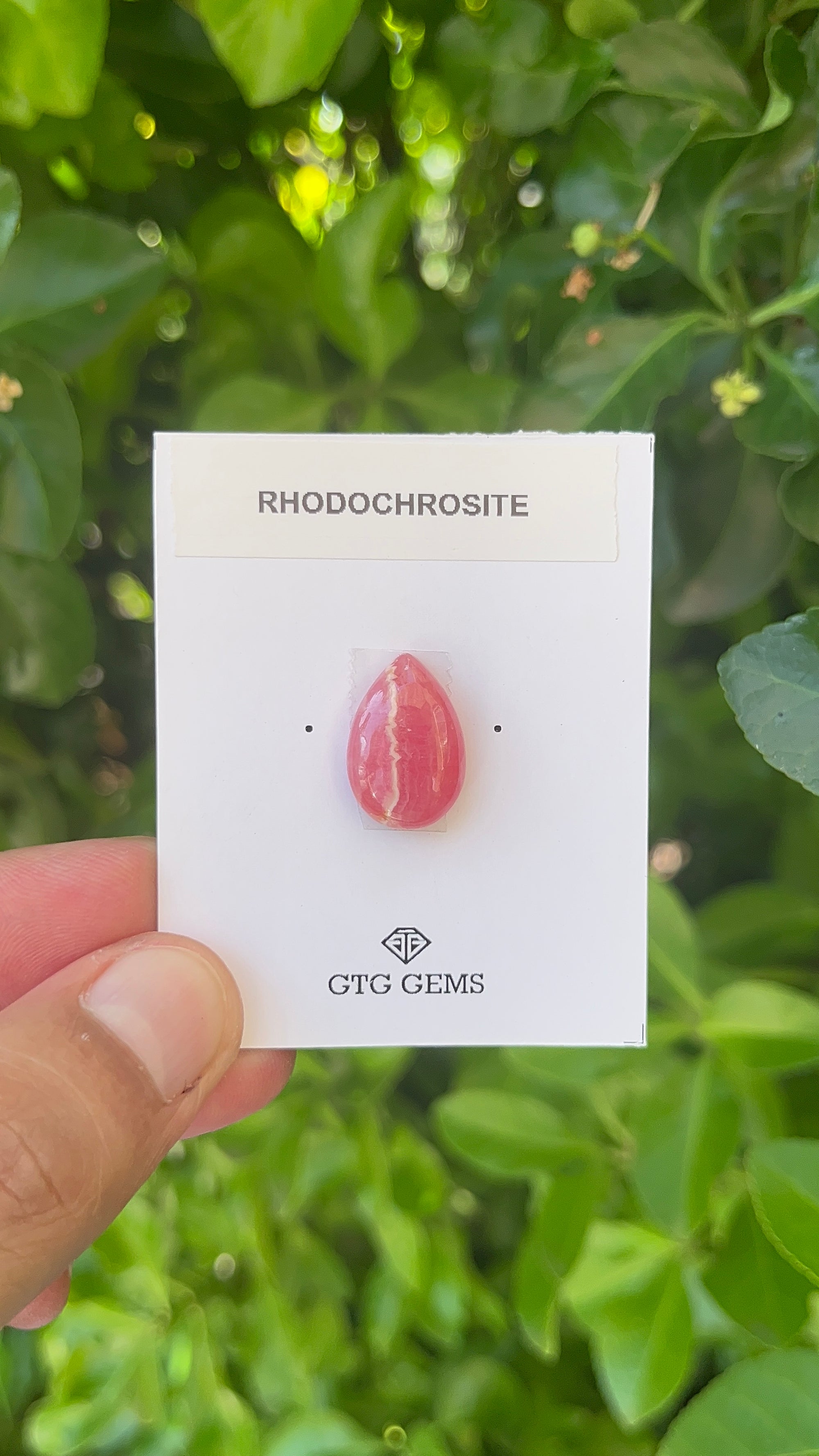 Rhodochrosite Cabochon, Rhodochrosite 18x12 mm, Approximately 13.34 carat (GTG-RCH-53)