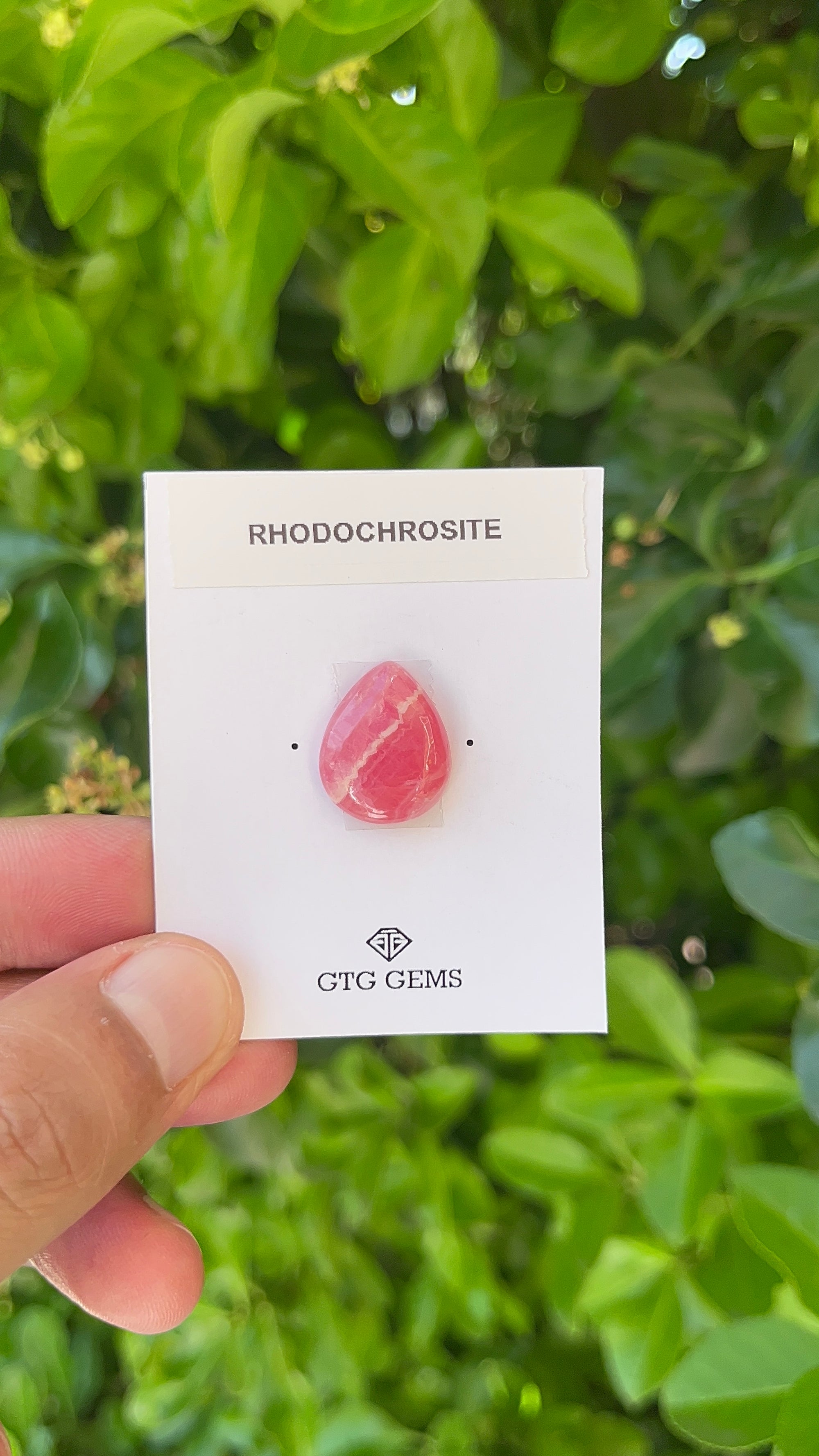 Rhodochrosite Cabochon, Rhodochrosite 18x13 mm, Approximately 16.06 carat (GTG-RCH-17)
