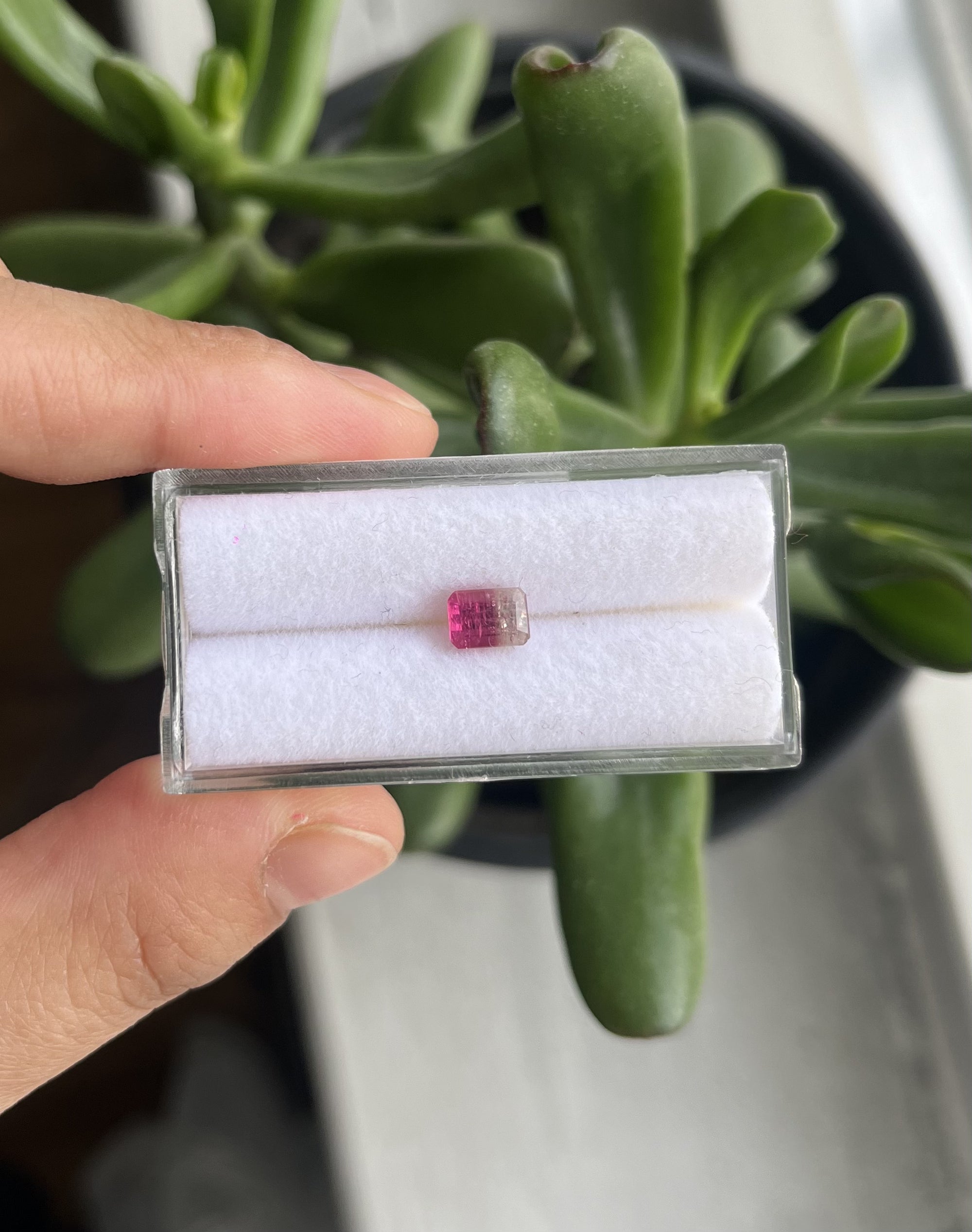 Rectangle Tourmaline 6x4mm Single Piece Approximately 0.85 Carat