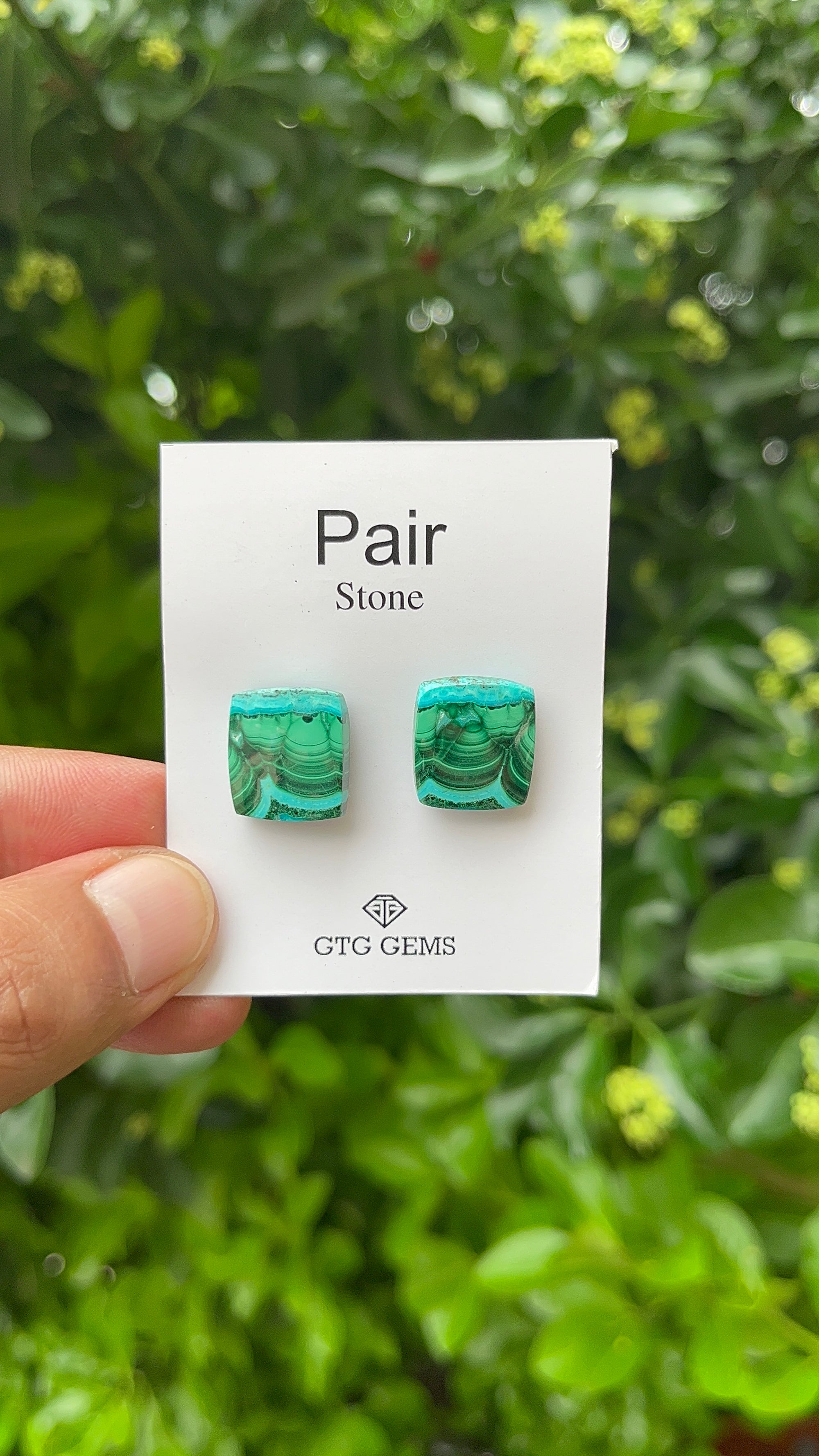 Chrysocolla Malachite, Cabochon Matching Pair 15x13.5 mm, Approximately 25.50 carat (GTG-MCM-4)