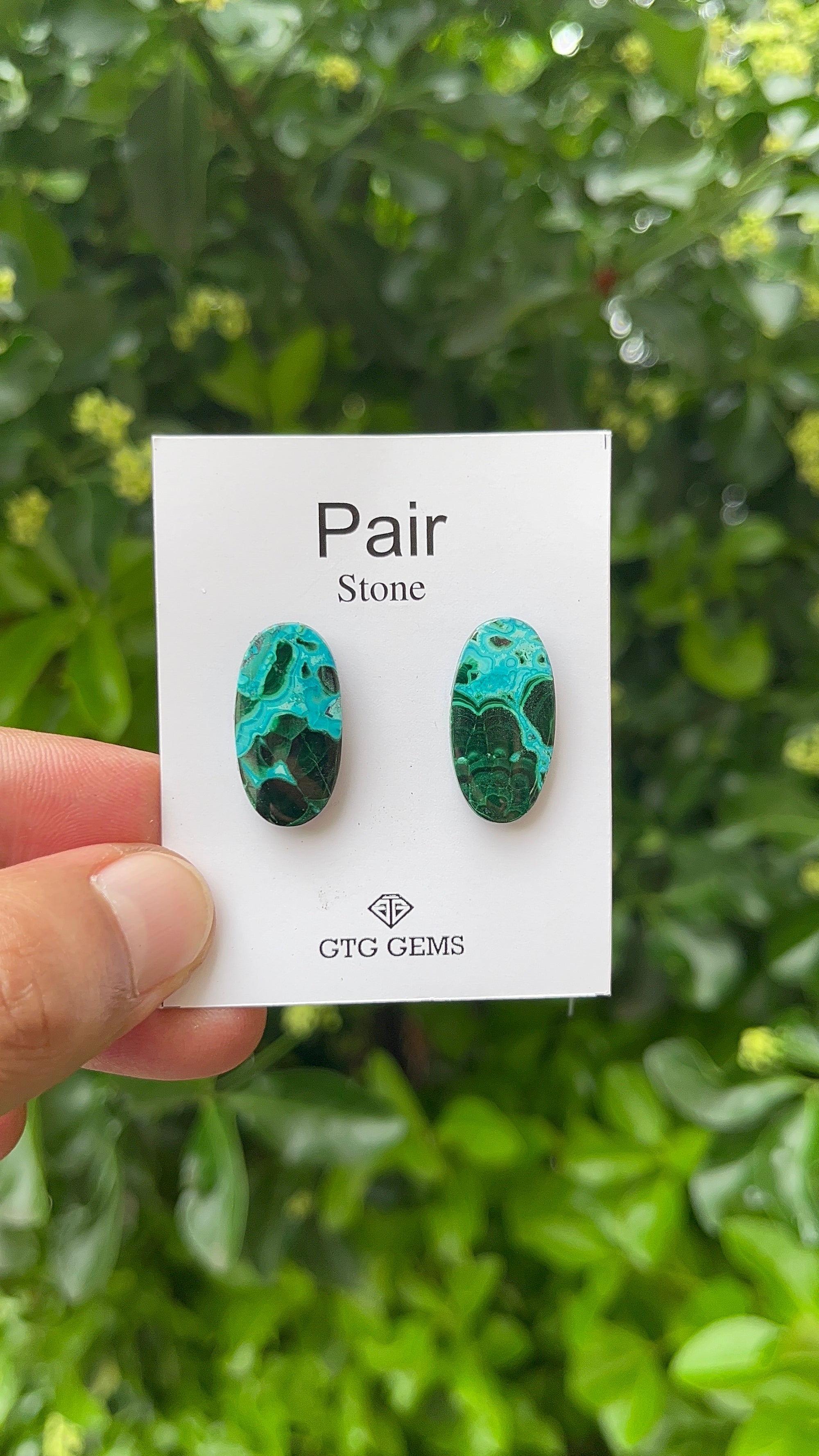 Chrysocolla Malachite, Cabochon Matching Pair 23x12mm, Approximately 21 carat (GTG-MCM-3)