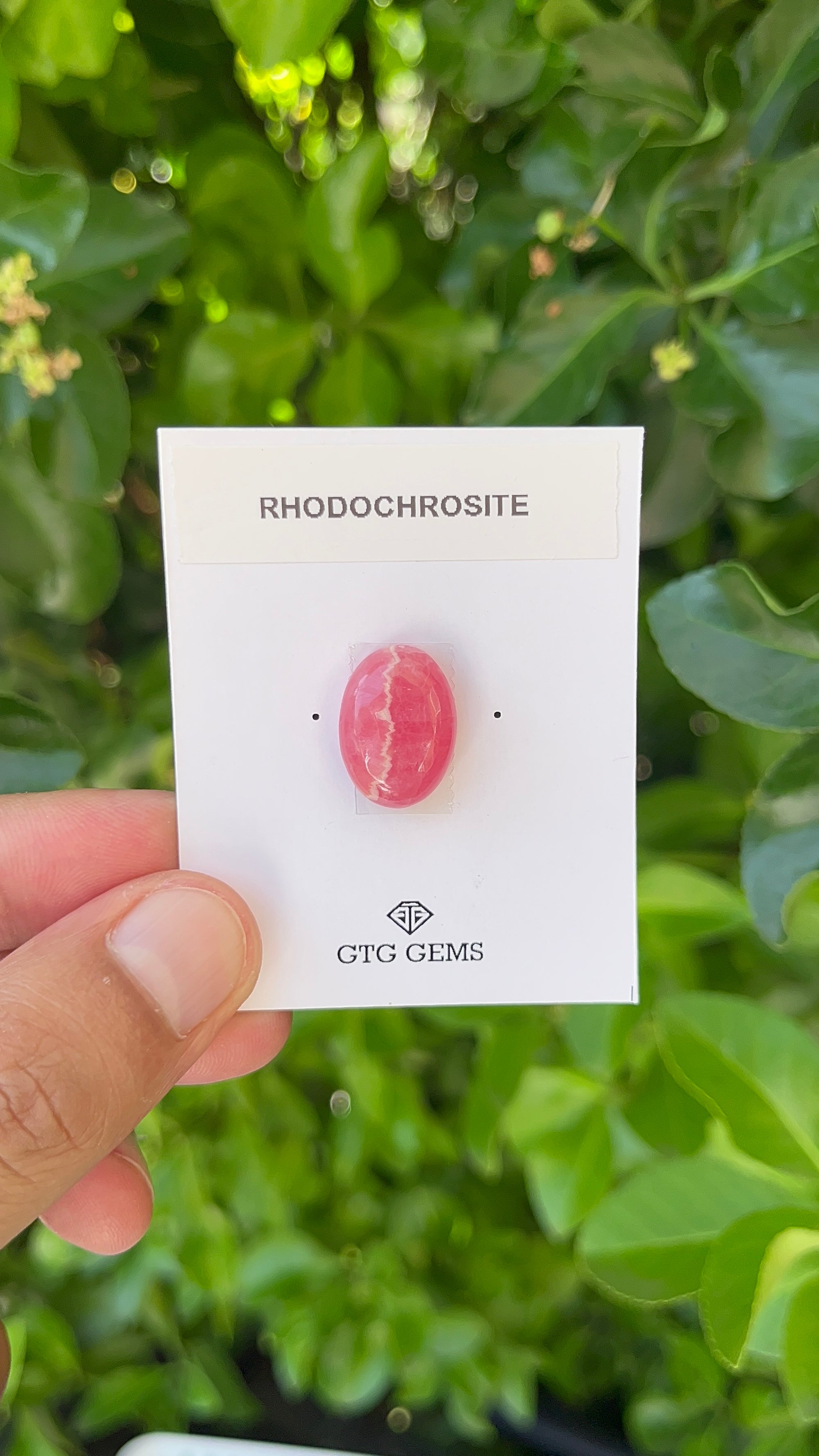 Rhodochrosite Cabochon, Rhodochrosite 18x13 mm, Approximately 16.06 carat (GTG-RCH-17)