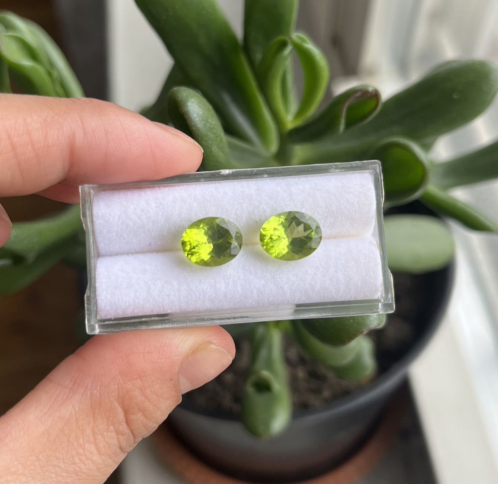 Peridot  Faceted Oval Shape 10x8x5 mm Matching pair Approximately 5.37 Carat
